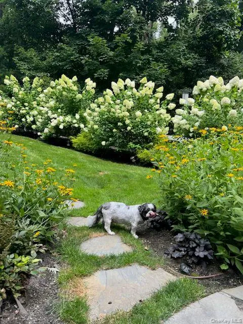 Where the garden glows and the good boy patrols. Where the garden glows and the good boy patrols.