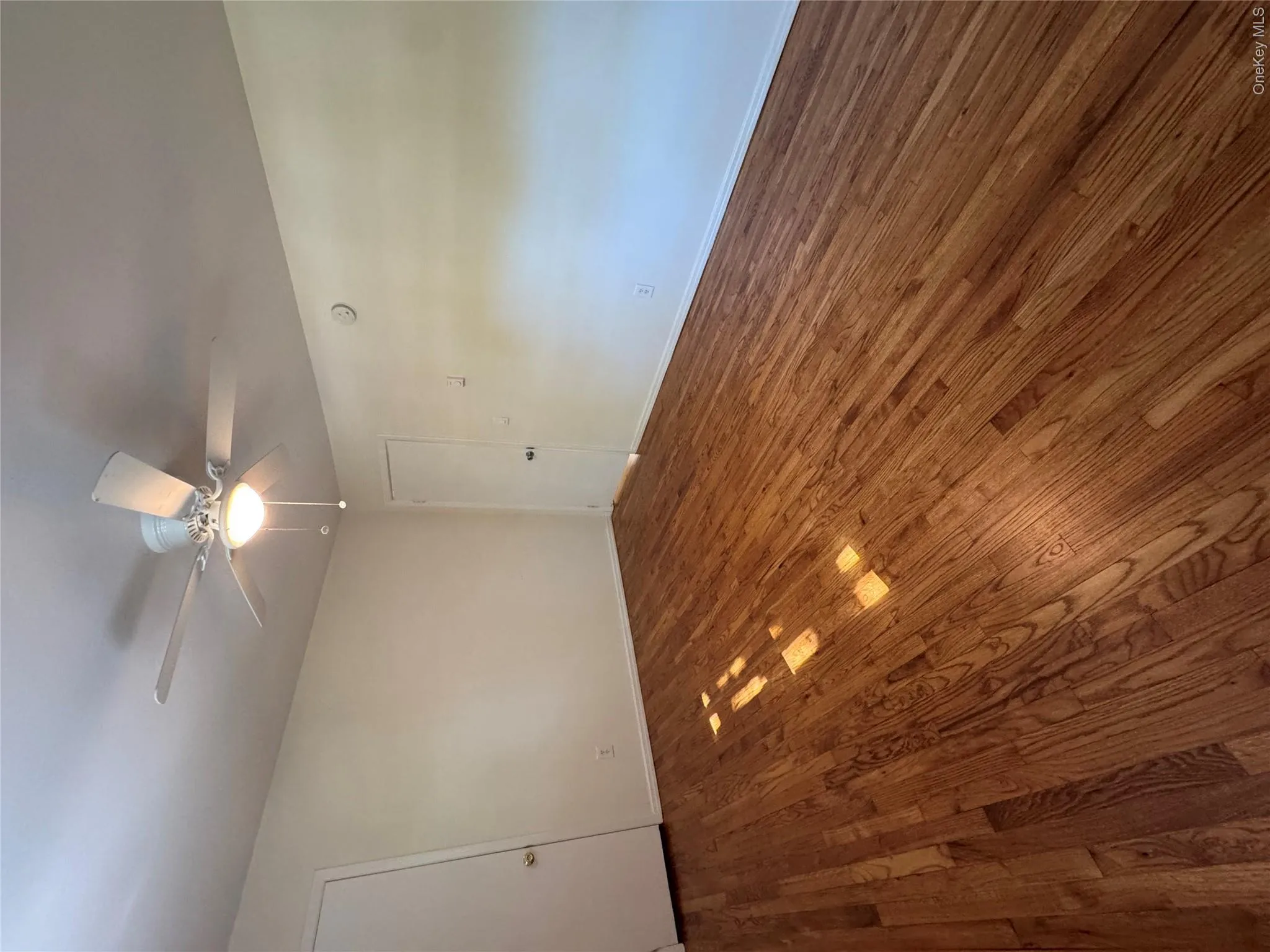 The primary bedroom is facing the front of the house . It’s bright and quiet. The primary bedroom is facing the front of the house . It’s bright and quiet.