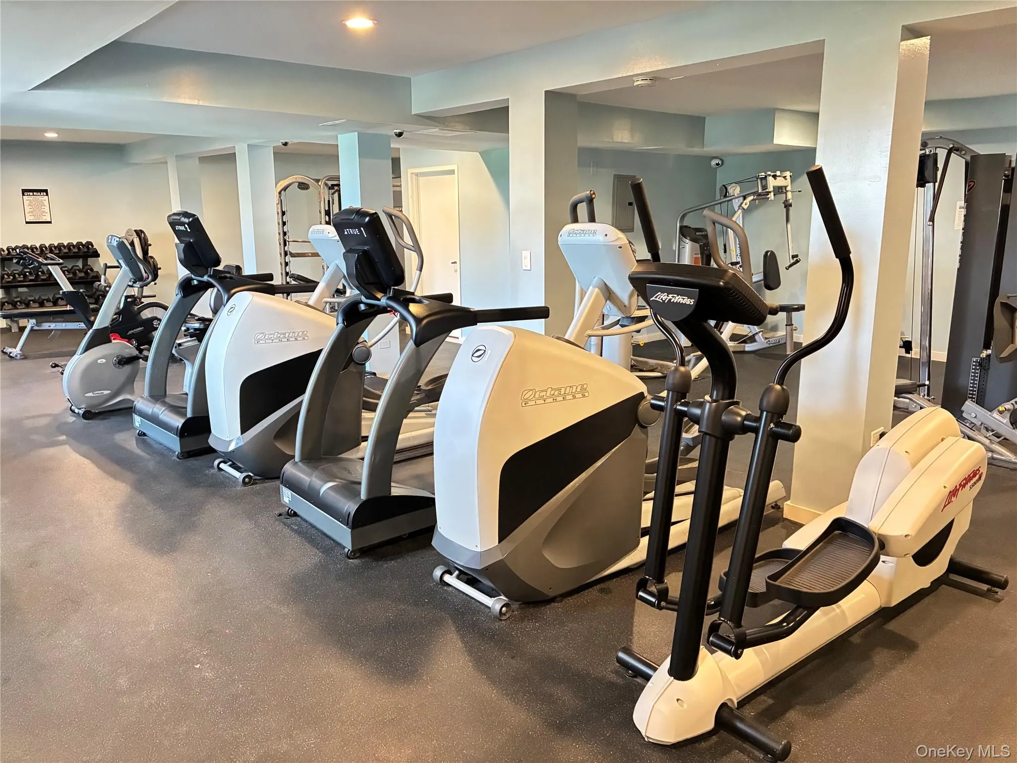 Gym Gym