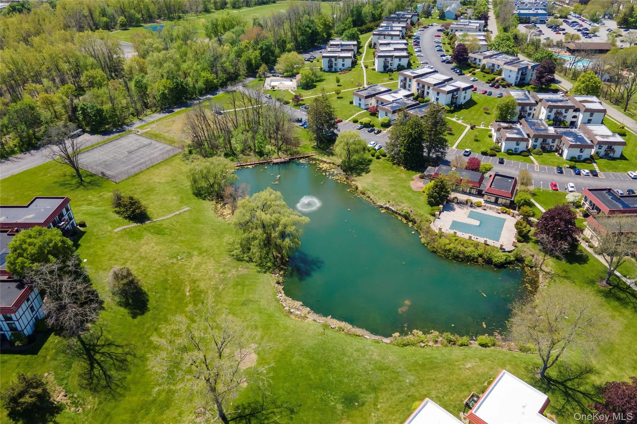 Lovely aerial of pond Lovely aerial of pond