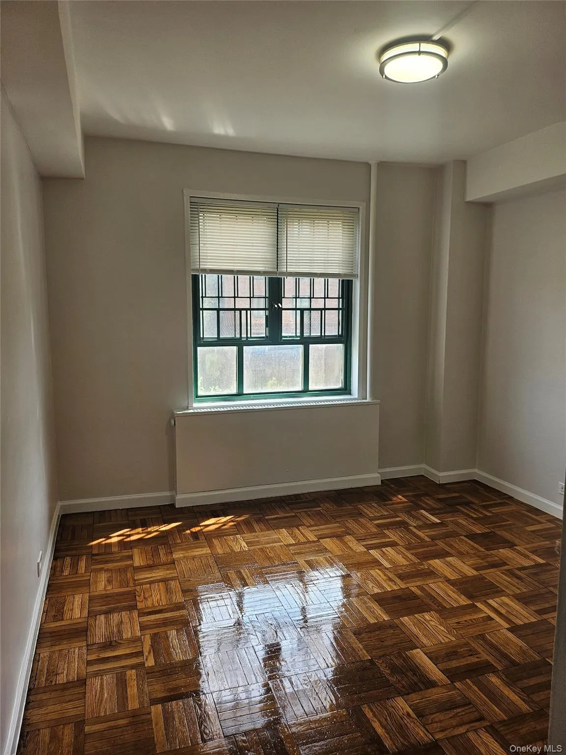 1705 Purdy Street, New York, NY, 3 Bedrooms Bedrooms, 6 Rooms Rooms,1 BathroomBathrooms,Residential,For Rent,Purdy,0,986975 1705 Purdy Street, New York, NY, 3 Bedrooms Bedrooms, 6 Rooms Rooms,1 BathroomBathrooms,Residential,For Rent,Purdy,0,986975