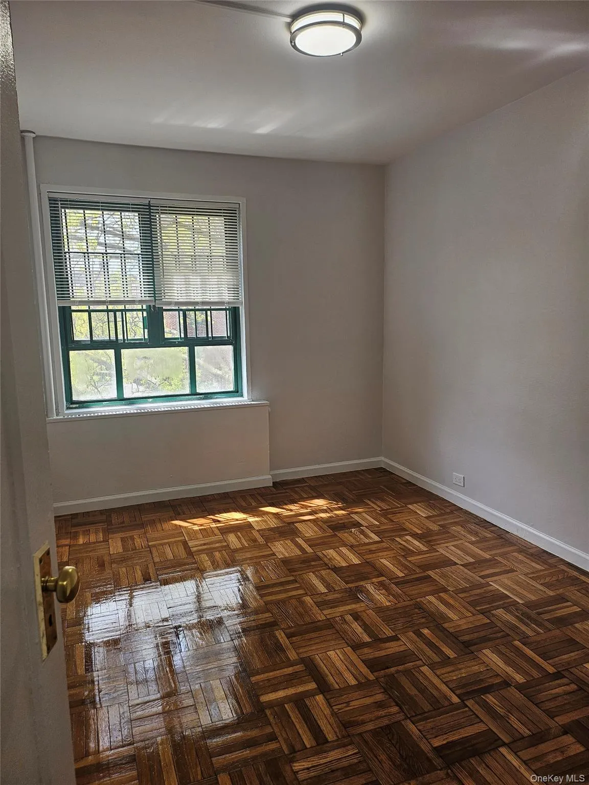 1705 Purdy Street, New York, NY, 3 Bedrooms Bedrooms, 6 Rooms Rooms,1 BathroomBathrooms,Residential,For Rent,Purdy,0,986975 1705 Purdy Street, New York, NY, 3 Bedrooms Bedrooms, 6 Rooms Rooms,1 BathroomBathrooms,Residential,For Rent,Purdy,0,986975
