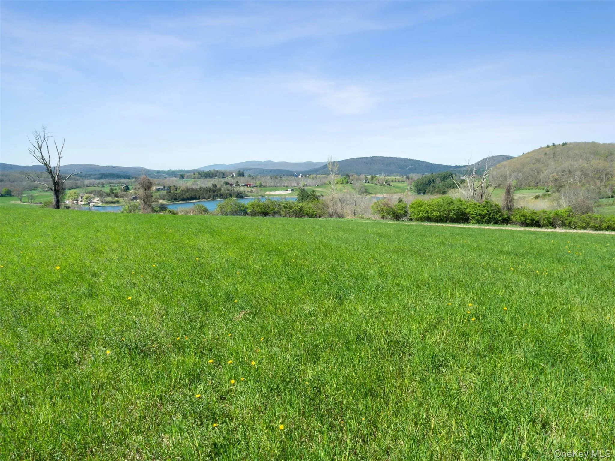 156 Sharon Station Road, Amenia, NY, ,Land,For Rent,Sharon Station,0,986998 156 Sharon Station Road, Amenia, NY, ,Land,For Rent,Sharon Station,0,986998