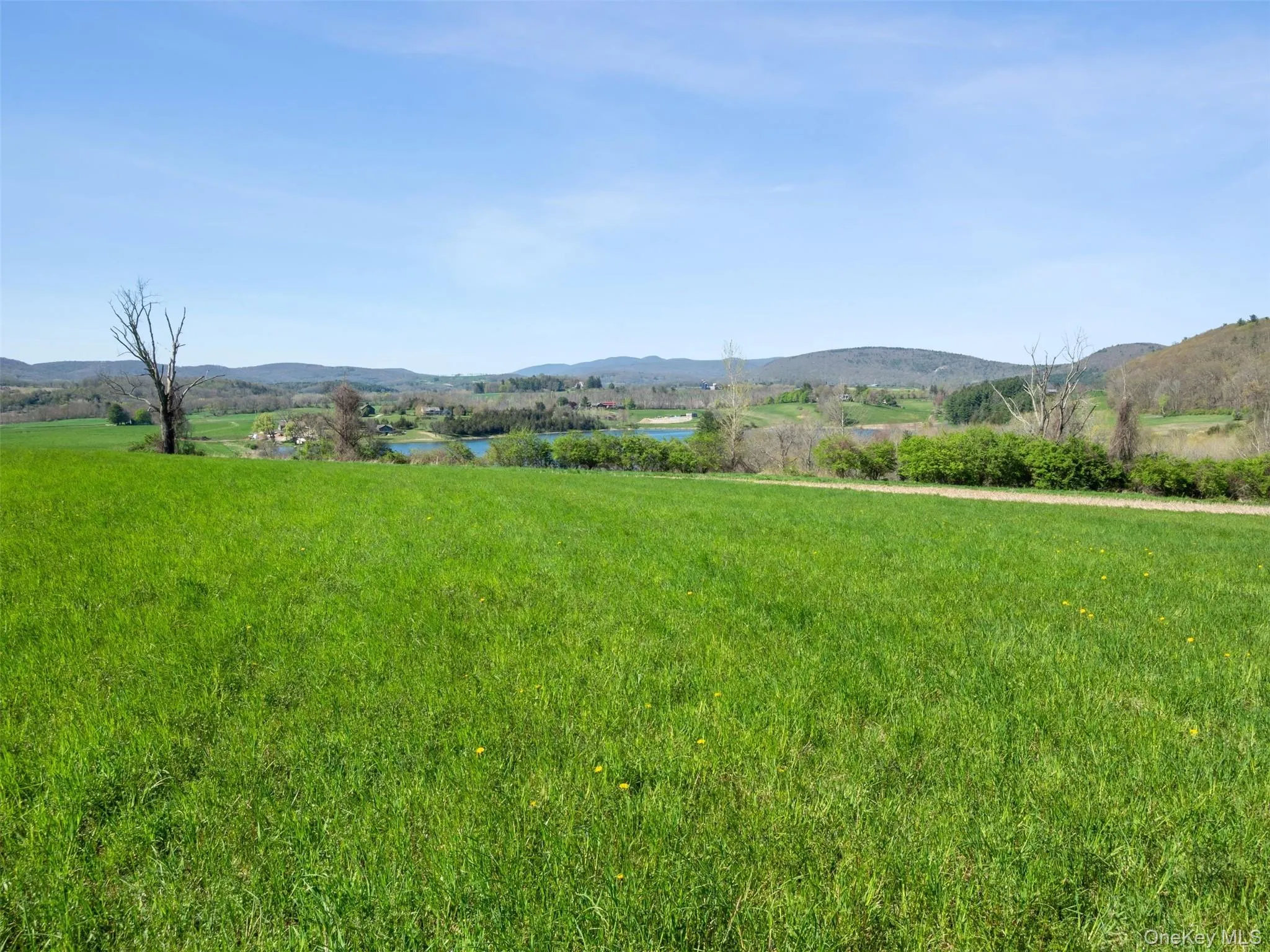 156 Sharon Station Road, Amenia, NY, ,Land,For Rent,Sharon Station,0,986998 156 Sharon Station Road, Amenia, NY, ,Land,For Rent,Sharon Station,0,986998
