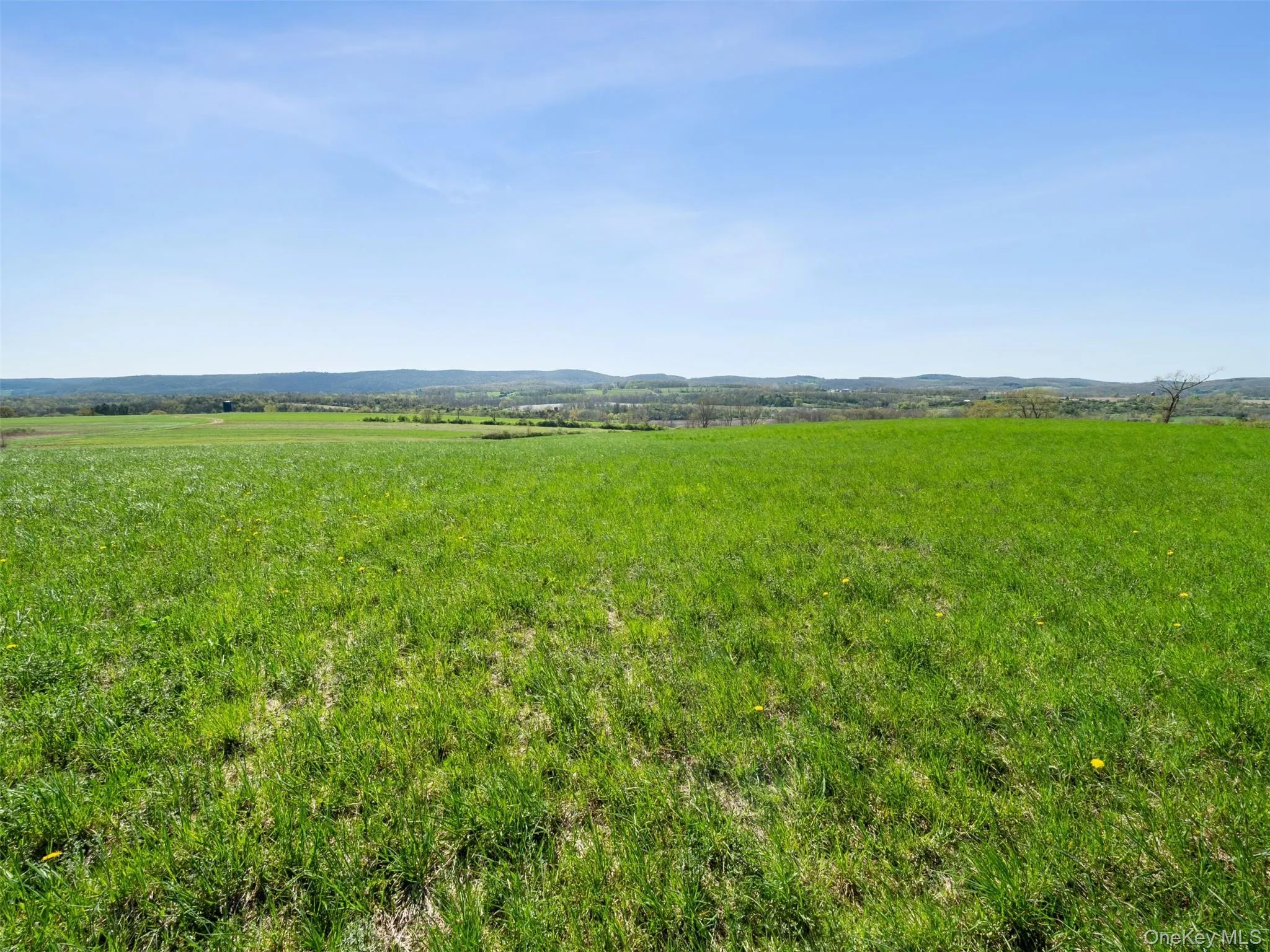 156 Sharon Station Road, Amenia, NY, ,Land,For Rent,Sharon Station,0,986998 156 Sharon Station Road, Amenia, NY, ,Land,For Rent,Sharon Station,0,986998