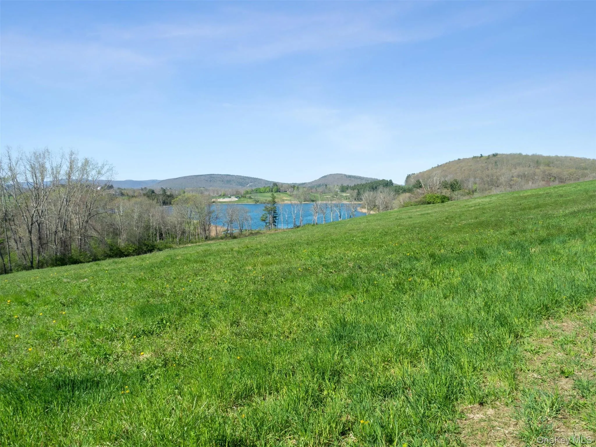 156 Sharon Station Road, Amenia, NY, ,Land,For Rent,Sharon Station,0,986998 156 Sharon Station Road, Amenia, NY, ,Land,For Rent,Sharon Station,0,986998