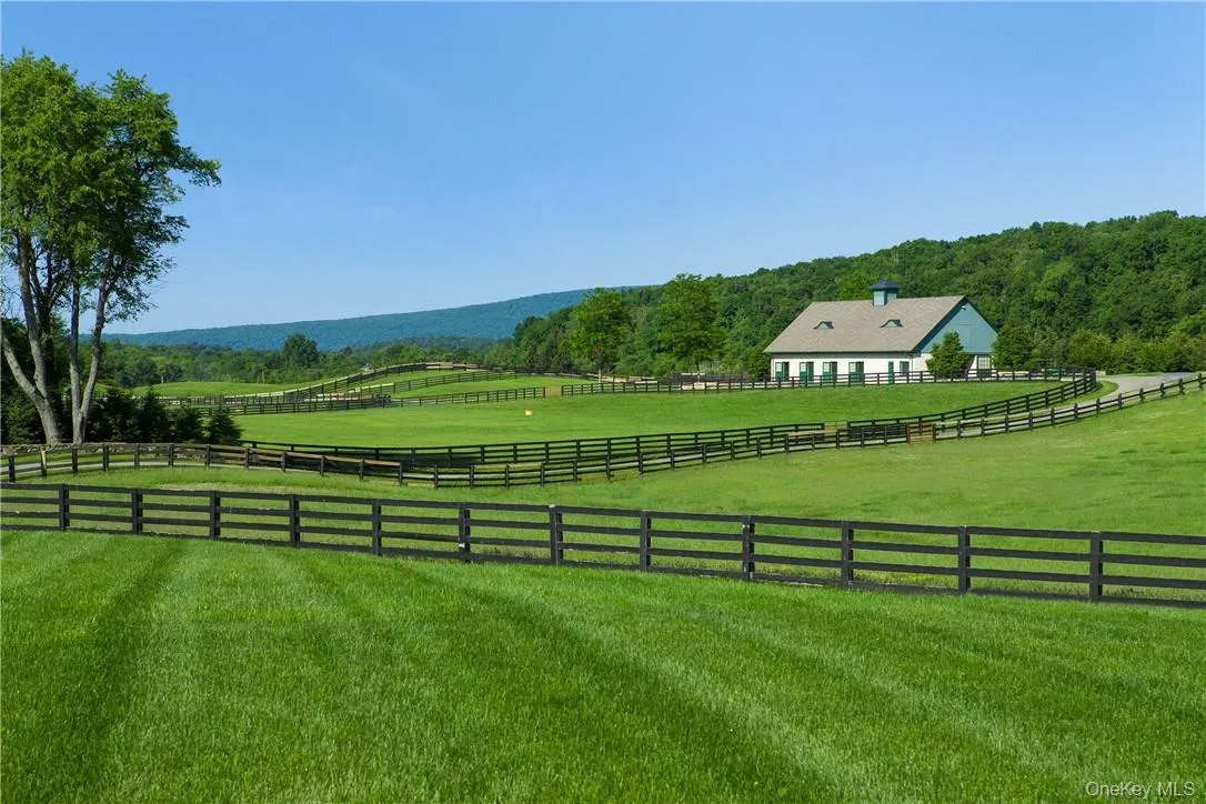 200 Chase Road, Pine Plains, NY, 7 Bedrooms Bedrooms, 15 Rooms Rooms,7 BathroomsBathrooms,Residential Lease,For Rent,Chase,0,987001 200 Chase Road, Pine Plains, NY, 7 Bedrooms Bedrooms, 15 Rooms Rooms,7 BathroomsBathrooms,Residential Lease,For Rent,Chase,0,987001