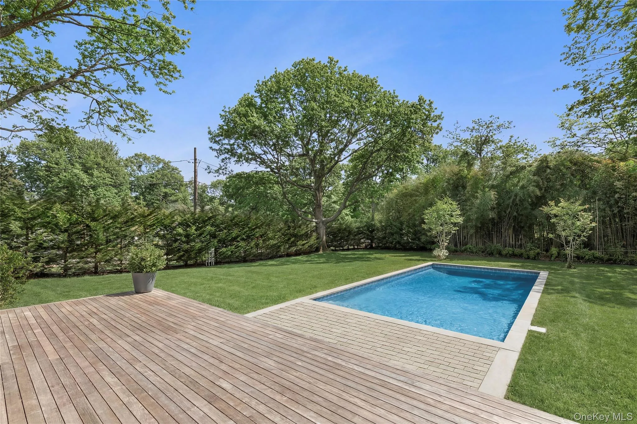 64 Hazelwood Avenue, Southampton, NY, 4 Bedrooms Bedrooms, 7 Rooms Rooms,3 BathroomsBathrooms,Residential,For Rent,Hazelwood,0,987034 64 Hazelwood Avenue, Southampton, NY, 4 Bedrooms Bedrooms, 7 Rooms Rooms,3 BathroomsBathrooms,Residential,For Rent,Hazelwood,0,987034