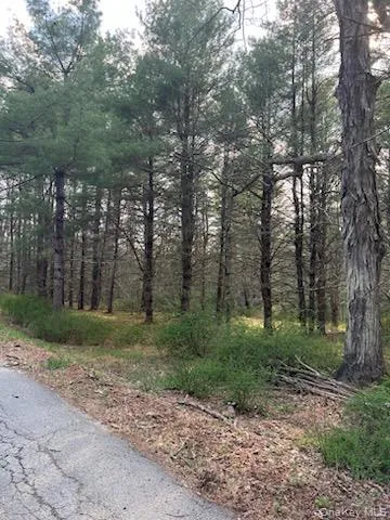 00 Upper Pine Kill Road, Mamakating, NY, ,Land,For Rent,Upper Pine Kill,0,987081 00 Upper Pine Kill Road, Mamakating, NY, ,Land,For Rent,Upper Pine Kill,0,987081
