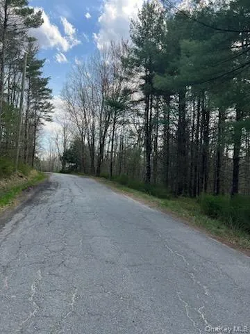 00 Upper Pine Kill Road, Mamakating, NY, ,Land,For Rent,Upper Pine Kill,0,987081 00 Upper Pine Kill Road, Mamakating, NY, ,Land,For Rent,Upper Pine Kill,0,987081