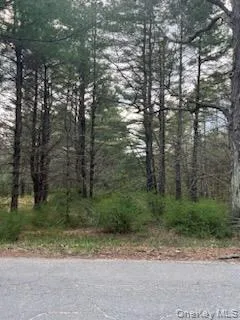 00 Upper Pine Kill Road, Mamakating, NY, ,Land,For Rent,Upper Pine Kill,0,987081 00 Upper Pine Kill Road, Mamakating, NY, ,Land,For Rent,Upper Pine Kill,0,987081