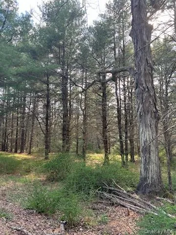 00 Upper Pine Kill Road, Mamakating, NY, ,Land,For Rent,Upper Pine Kill,0,987081 00 Upper Pine Kill Road, Mamakating, NY, ,Land,For Rent,Upper Pine Kill,0,987081
