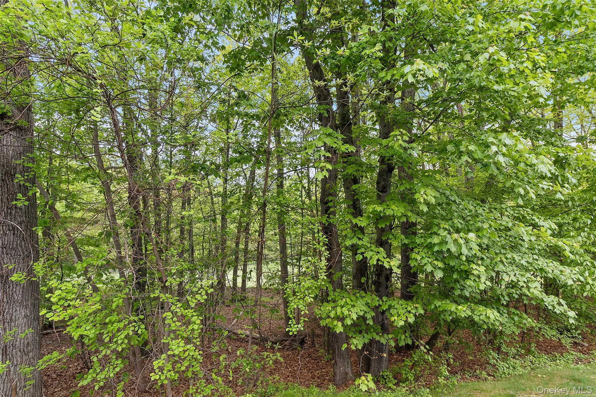 567 Heritage Hills, Somers, NY, 1 Bedroom Bedrooms, 3 Rooms Rooms,1 BathroomBathrooms,Residential,For Rent,Heritage,0,987091 567 Heritage Hills, Somers, NY, 1 Bedroom Bedrooms, 3 Rooms Rooms,1 BathroomBathrooms,Residential,For Rent,Heritage,0,987091
