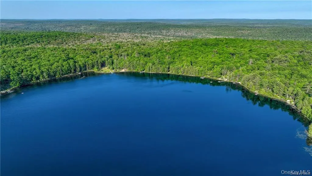 Drone / aerial view of a large body of water and a heavily wooded area Drone / aerial view of a large body of water and a heavily wooded area