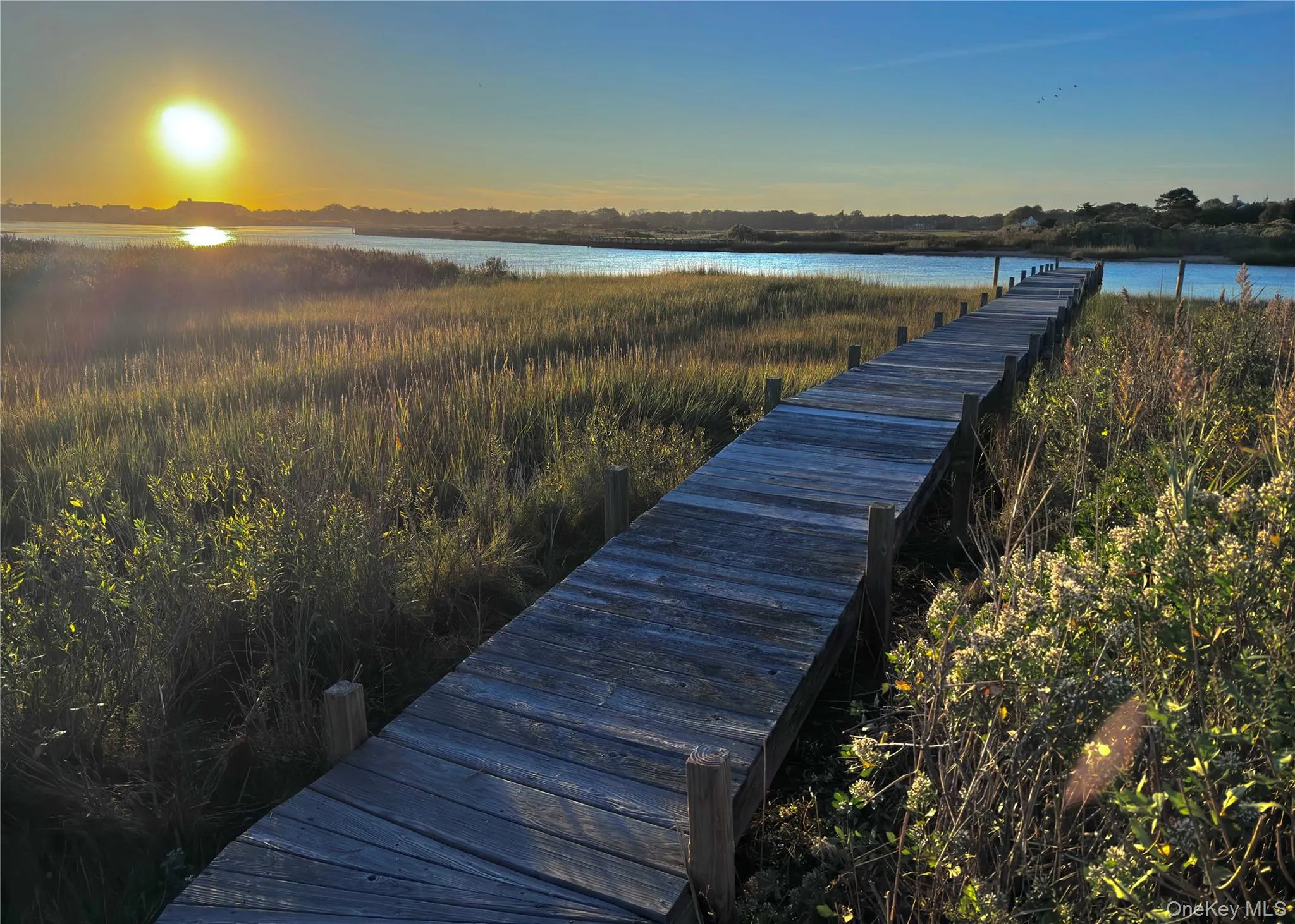 162 Dune Road, Southampton, NY, 5 Bedrooms Bedrooms, 10 Rooms Rooms,4 BathroomsBathrooms,Residential,For Rent,Dune,0,987218 162 Dune Road, Southampton, NY, 5 Bedrooms Bedrooms, 10 Rooms Rooms,4 BathroomsBathrooms,Residential,For Rent,Dune,0,987218