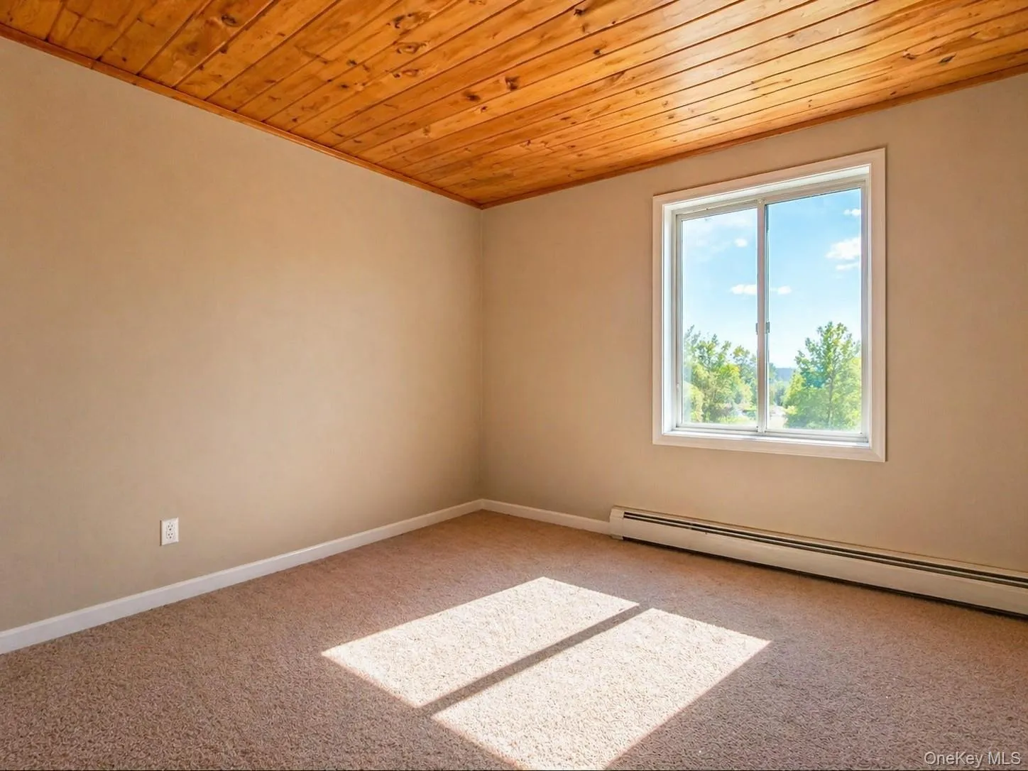 Room featuring a wood plank ceiling, neutral-toned walls, and plush carpeting Room featuring a wood plank ceiling, neutral-toned walls, and plush carpeting