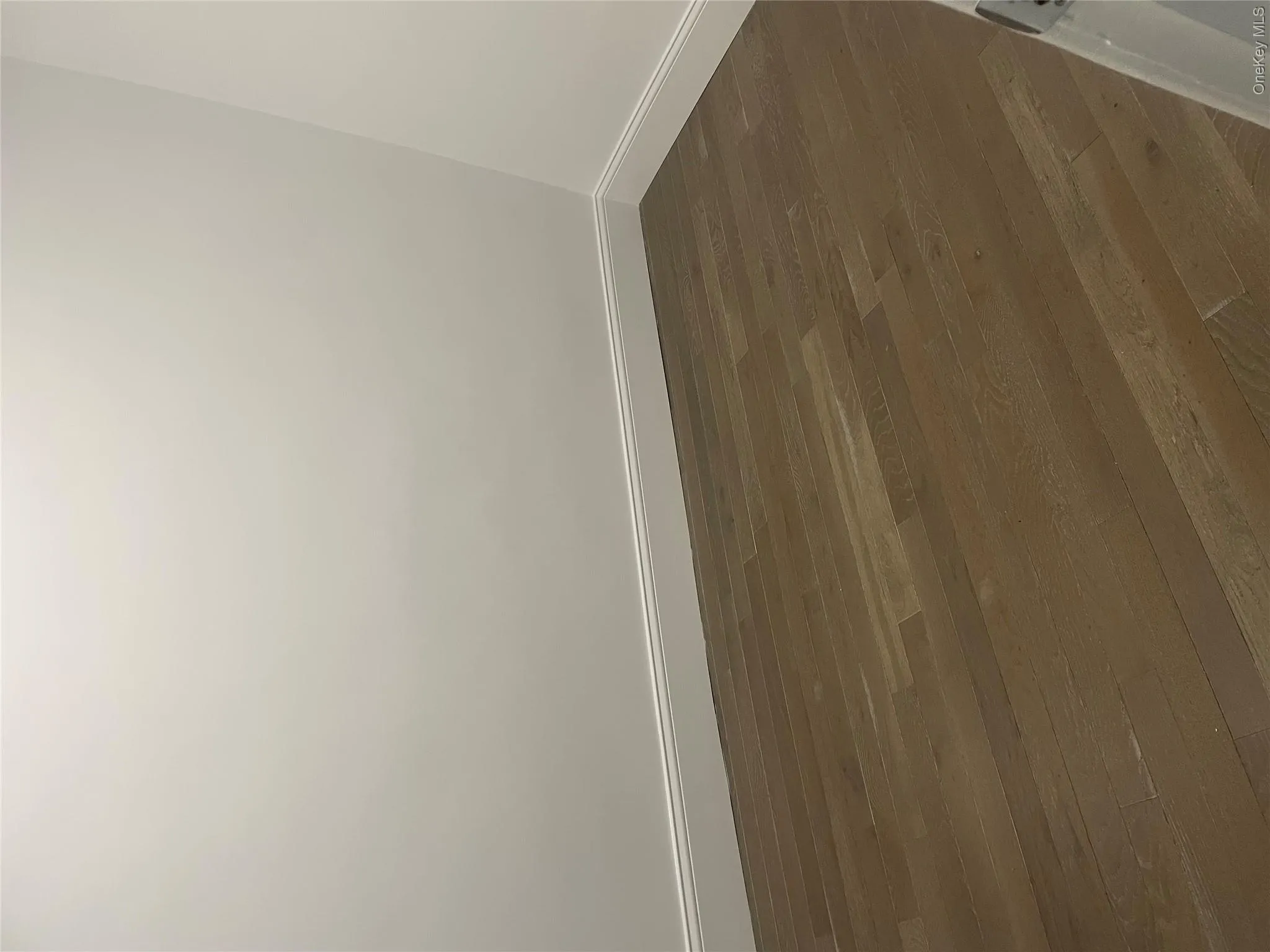 1720 Menahan Street, New York, NY, 3 Bedrooms Bedrooms, 5 Rooms Rooms,1 BathroomBathrooms,Residential Lease,For Rent,Menahan,0,987236 1720 Menahan Street, New York, NY, 3 Bedrooms Bedrooms, 5 Rooms Rooms,1 BathroomBathrooms,Residential Lease,For Rent,Menahan,0,987236