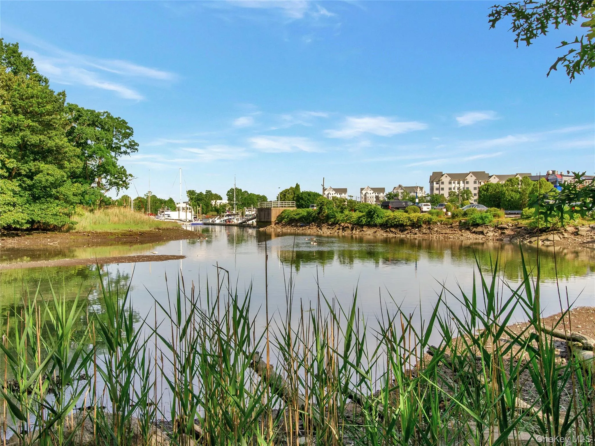 504 Pelham Road, New Rochelle, NY, 3 Bedrooms Bedrooms, 7 Rooms Rooms,2 BathroomsBathrooms,Residential Lease,For Rent,Pelham,0,987323 504 Pelham Road, New Rochelle, NY, 3 Bedrooms Bedrooms, 7 Rooms Rooms,2 BathroomsBathrooms,Residential Lease,For Rent,Pelham,0,987323