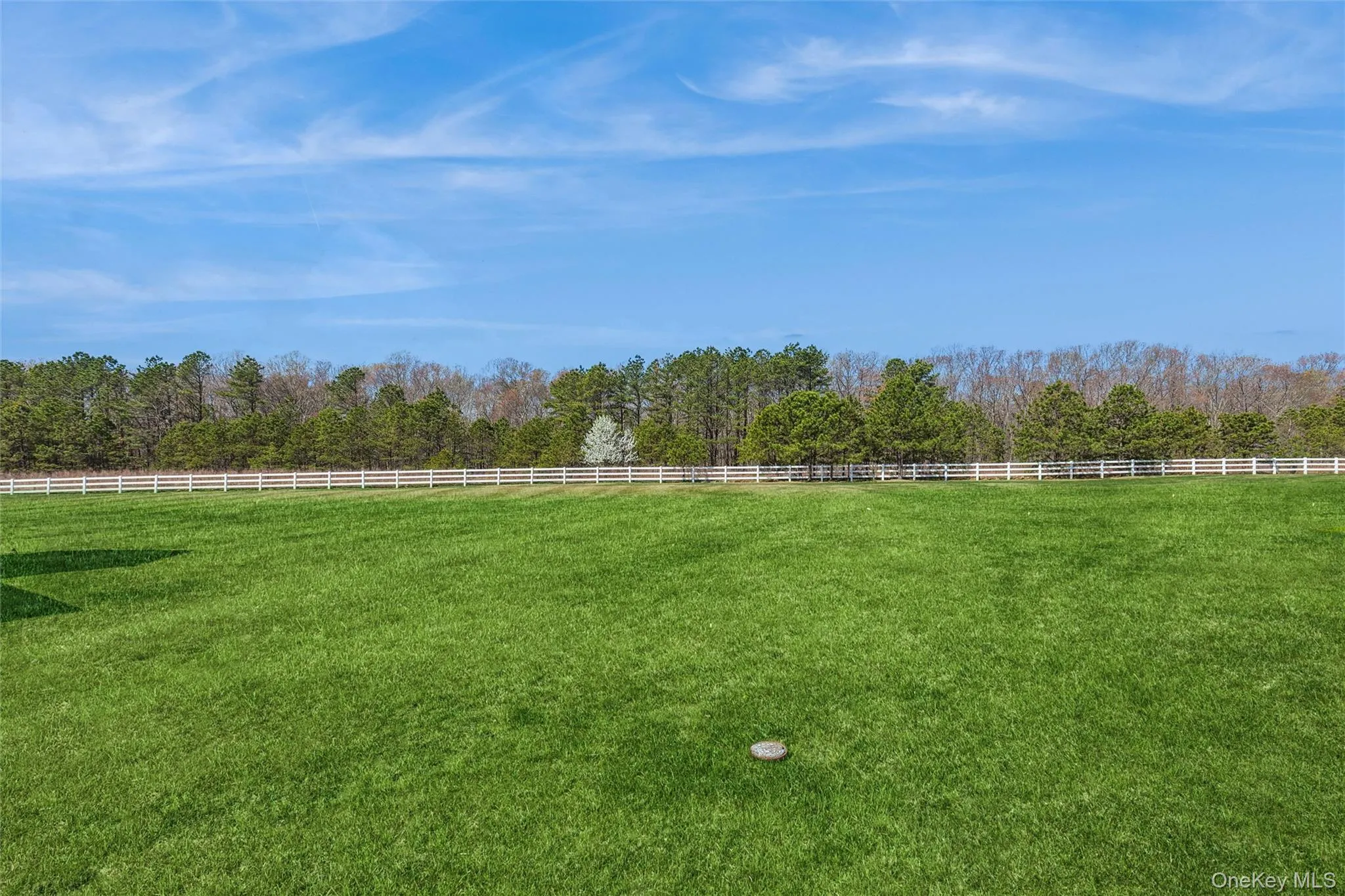 216 Belmont Circle, Brookhaven, NY, 2 Bedrooms Bedrooms, 6 Rooms Rooms,2 BathroomsBathrooms,Residential,For Rent,Belmont,0,987339 216 Belmont Circle, Brookhaven, NY, 2 Bedrooms Bedrooms, 6 Rooms Rooms,2 BathroomsBathrooms,Residential,For Rent,Belmont,0,987339