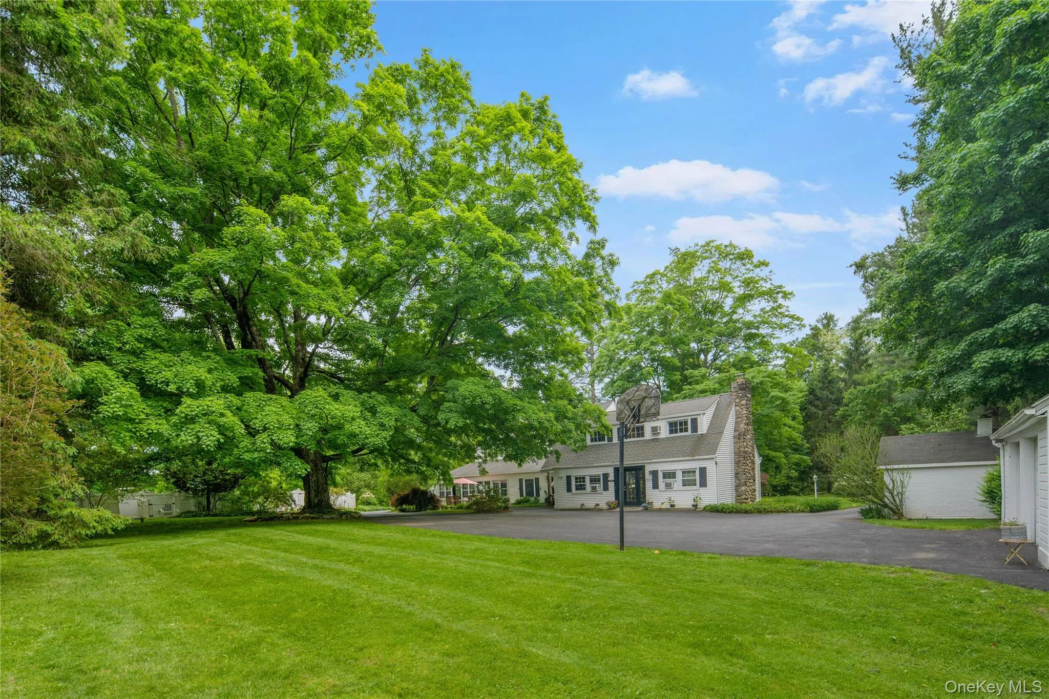Expansive lush flat backyard Expansive lush flat backyard
