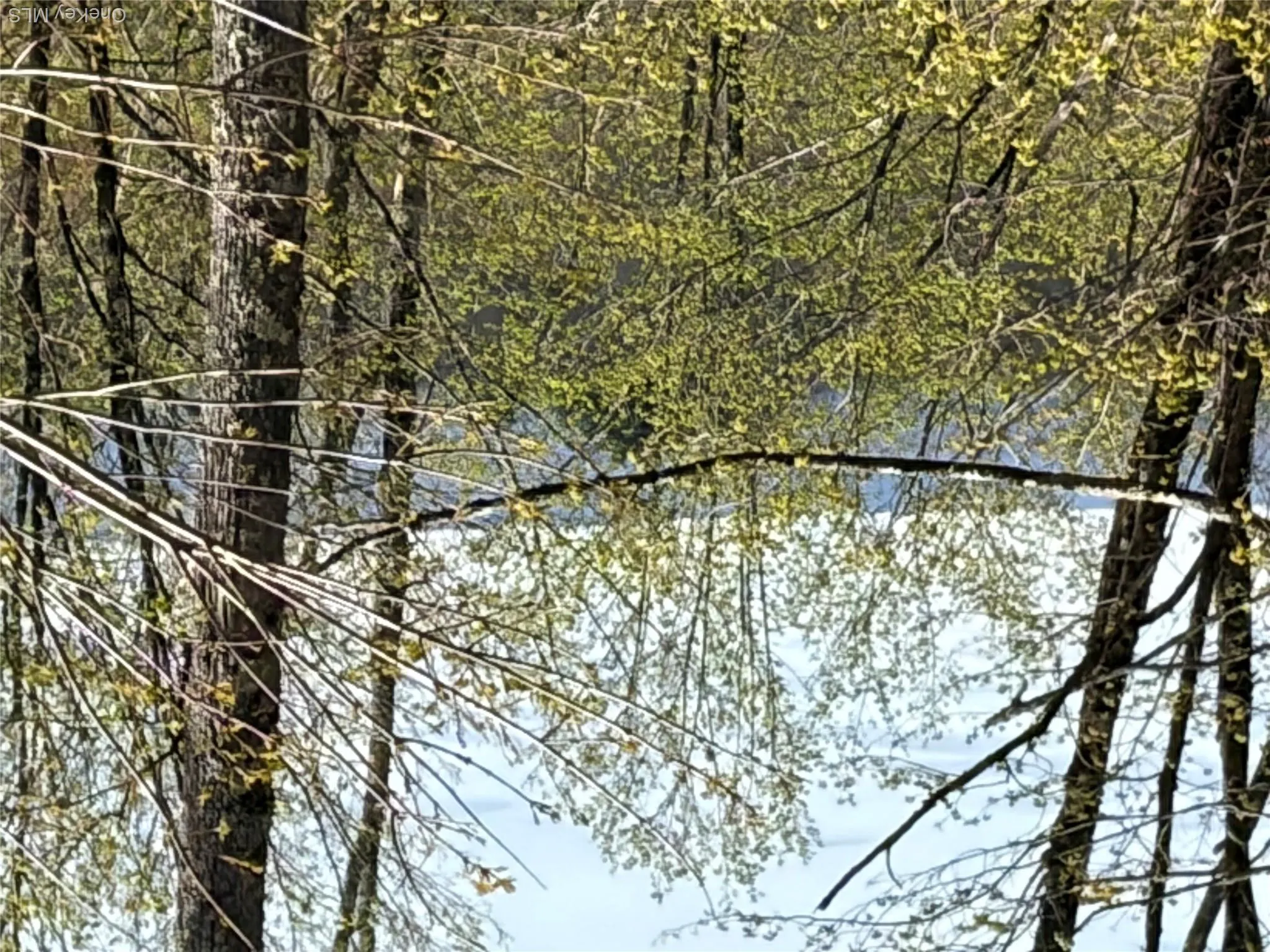 209 Stream Hollow, Fallsburg, NY, ,Land,For Rent,Stream Hollow,0,987402 209 Stream Hollow, Fallsburg, NY, ,Land,For Rent,Stream Hollow,0,987402