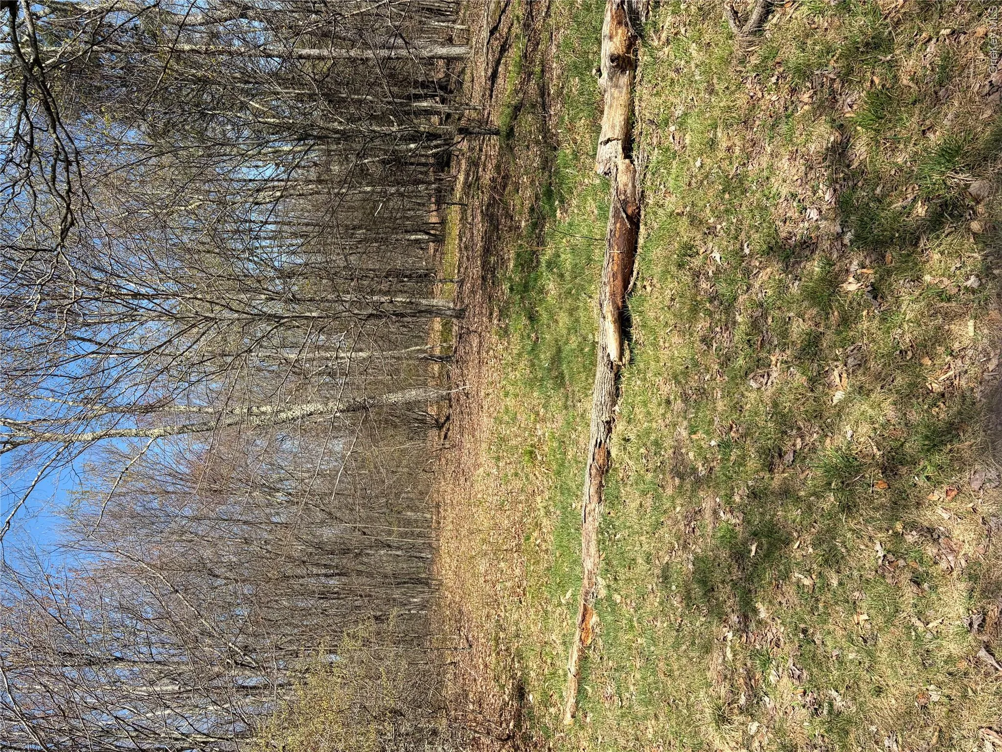 209 Stream Hollow, Fallsburg, NY, ,Land,For Rent,Stream Hollow,0,987402 209 Stream Hollow, Fallsburg, NY, ,Land,For Rent,Stream Hollow,0,987402