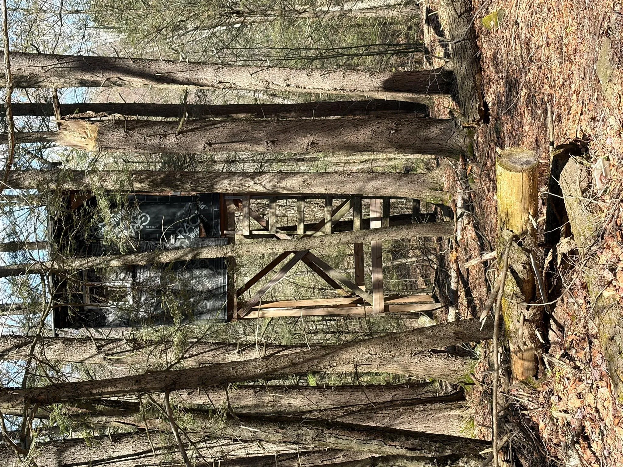 209 Stream Hollow, Fallsburg, NY, ,Land,For Rent,Stream Hollow,0,987402 209 Stream Hollow, Fallsburg, NY, ,Land,For Rent,Stream Hollow,0,987402