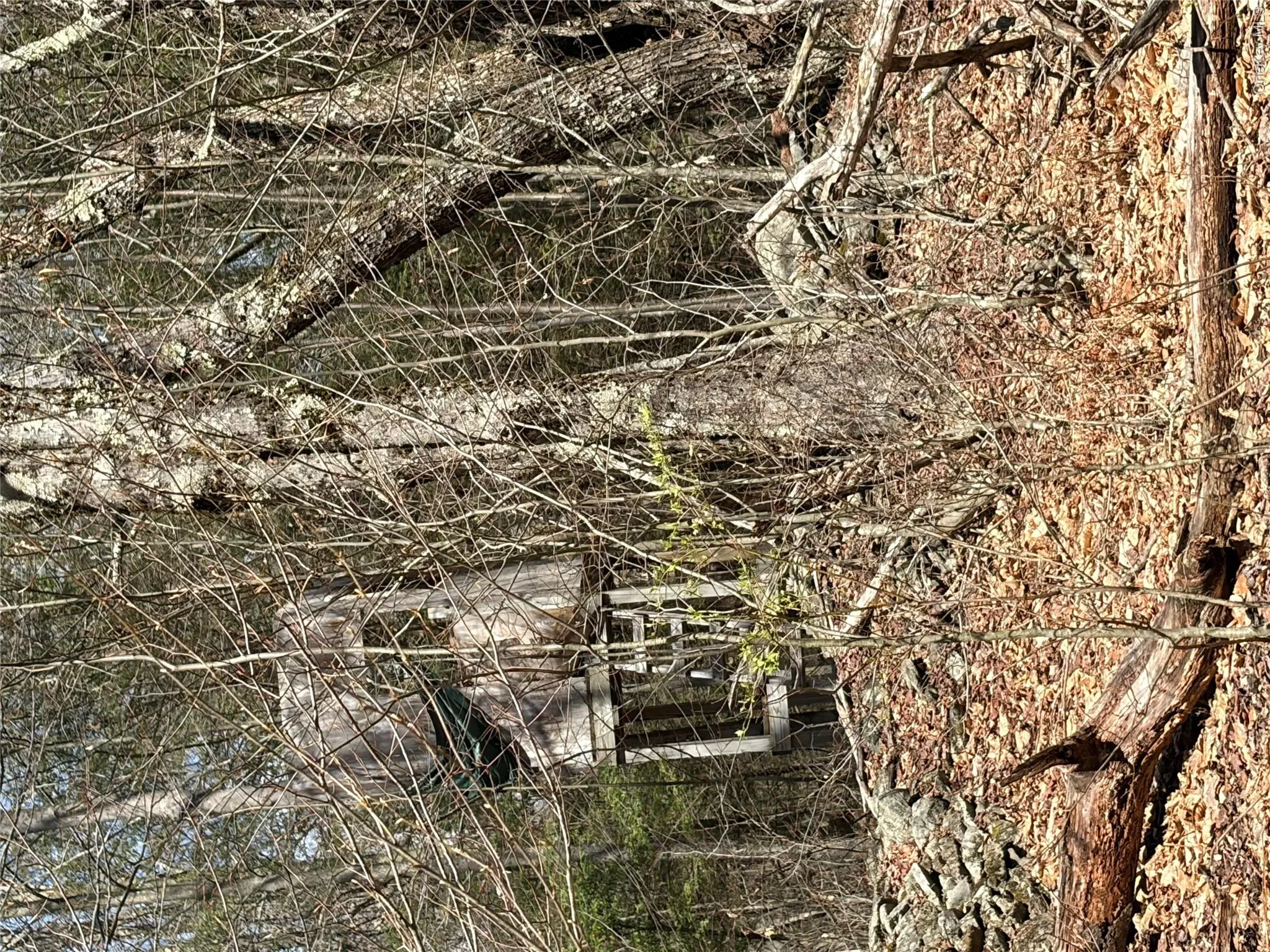209 Stream Hollow, Fallsburg, NY, ,Land,For Rent,Stream Hollow,0,987402 209 Stream Hollow, Fallsburg, NY, ,Land,For Rent,Stream Hollow,0,987402