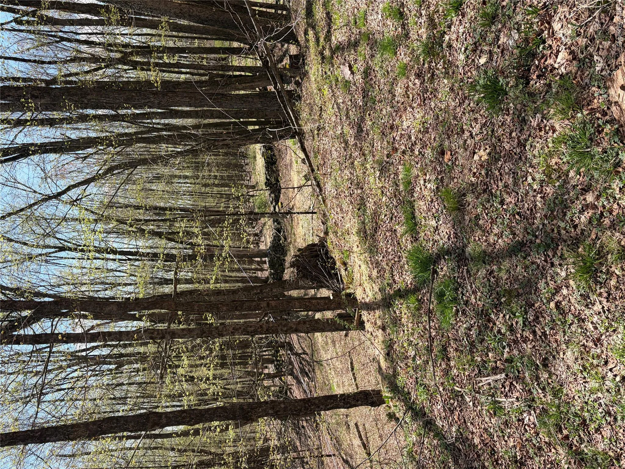 209 Stream Hollow, Fallsburg, NY, ,Land,For Rent,Stream Hollow,0,987402 209 Stream Hollow, Fallsburg, NY, ,Land,For Rent,Stream Hollow,0,987402