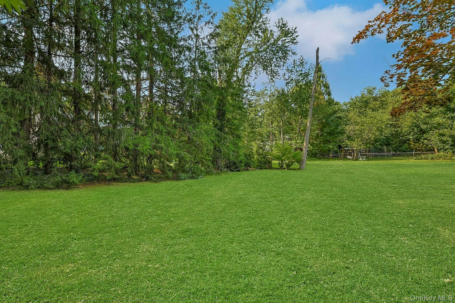 171 Austin Avenue, Orangetown, NY, 4 Bedrooms Bedrooms, 8 Rooms Rooms,1 BathroomBathrooms,Residential,For Rent,Austin,0,987409 171 Austin Avenue, Orangetown, NY, 4 Bedrooms Bedrooms, 8 Rooms Rooms,1 BathroomBathrooms,Residential,For Rent,Austin,0,987409