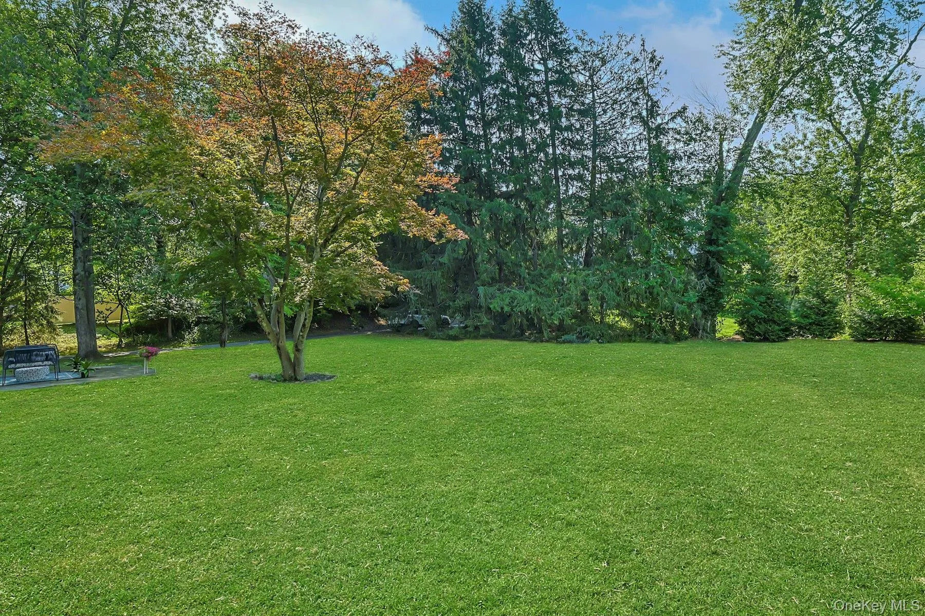 171 Austin Avenue, Orangetown, NY, 4 Bedrooms Bedrooms, 8 Rooms Rooms,1 BathroomBathrooms,Residential,For Rent,Austin,0,987409 171 Austin Avenue, Orangetown, NY, 4 Bedrooms Bedrooms, 8 Rooms Rooms,1 BathroomBathrooms,Residential,For Rent,Austin,0,987409