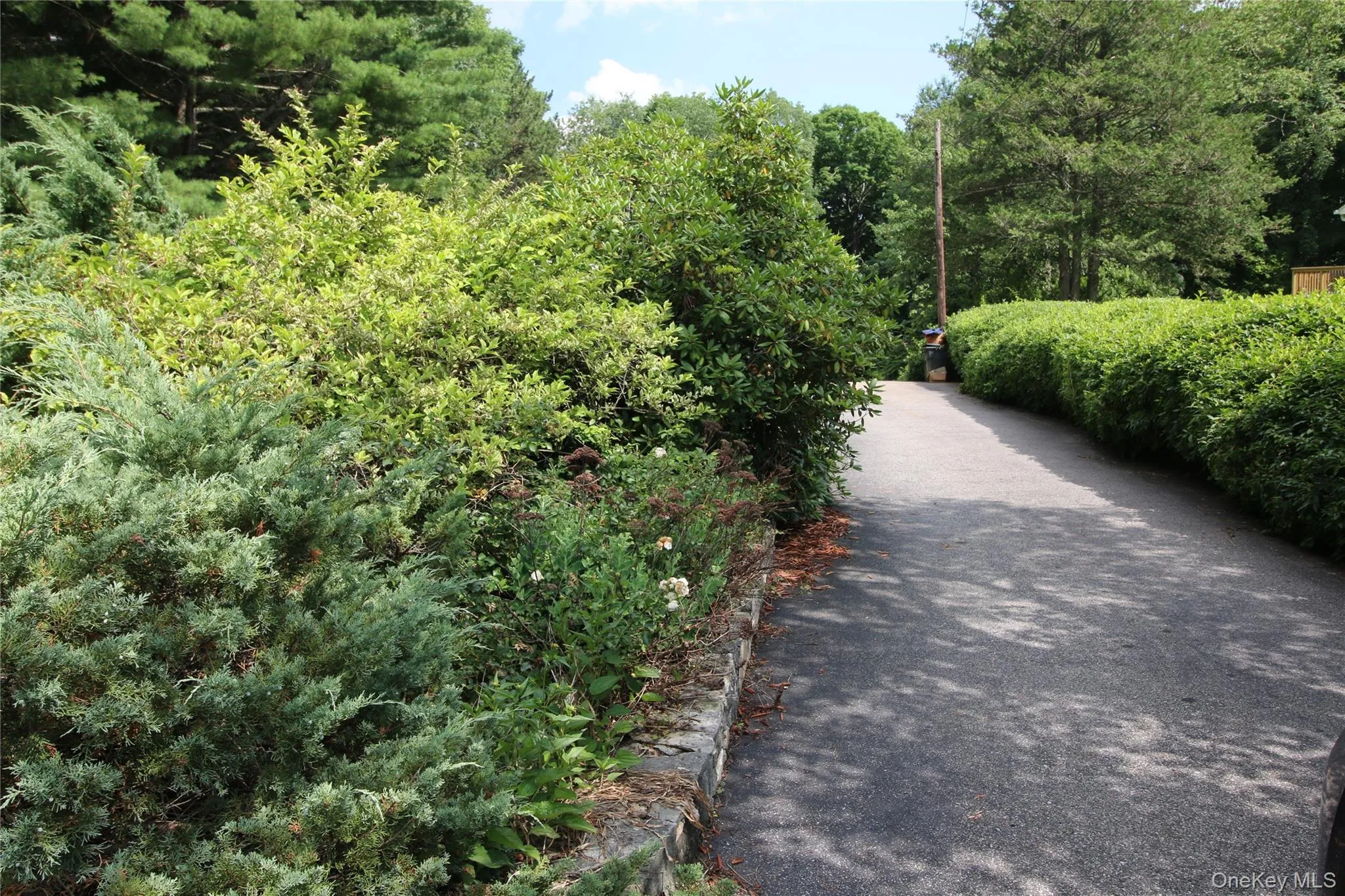58 Kentview Drive, Kent, NY, 3 Bedrooms Bedrooms, 6 Rooms Rooms,2 BathroomsBathrooms,Residential,For Rent,Kentview,0,987438 58 Kentview Drive, Kent, NY, 3 Bedrooms Bedrooms, 6 Rooms Rooms,2 BathroomsBathrooms,Residential,For Rent,Kentview,0,987438
