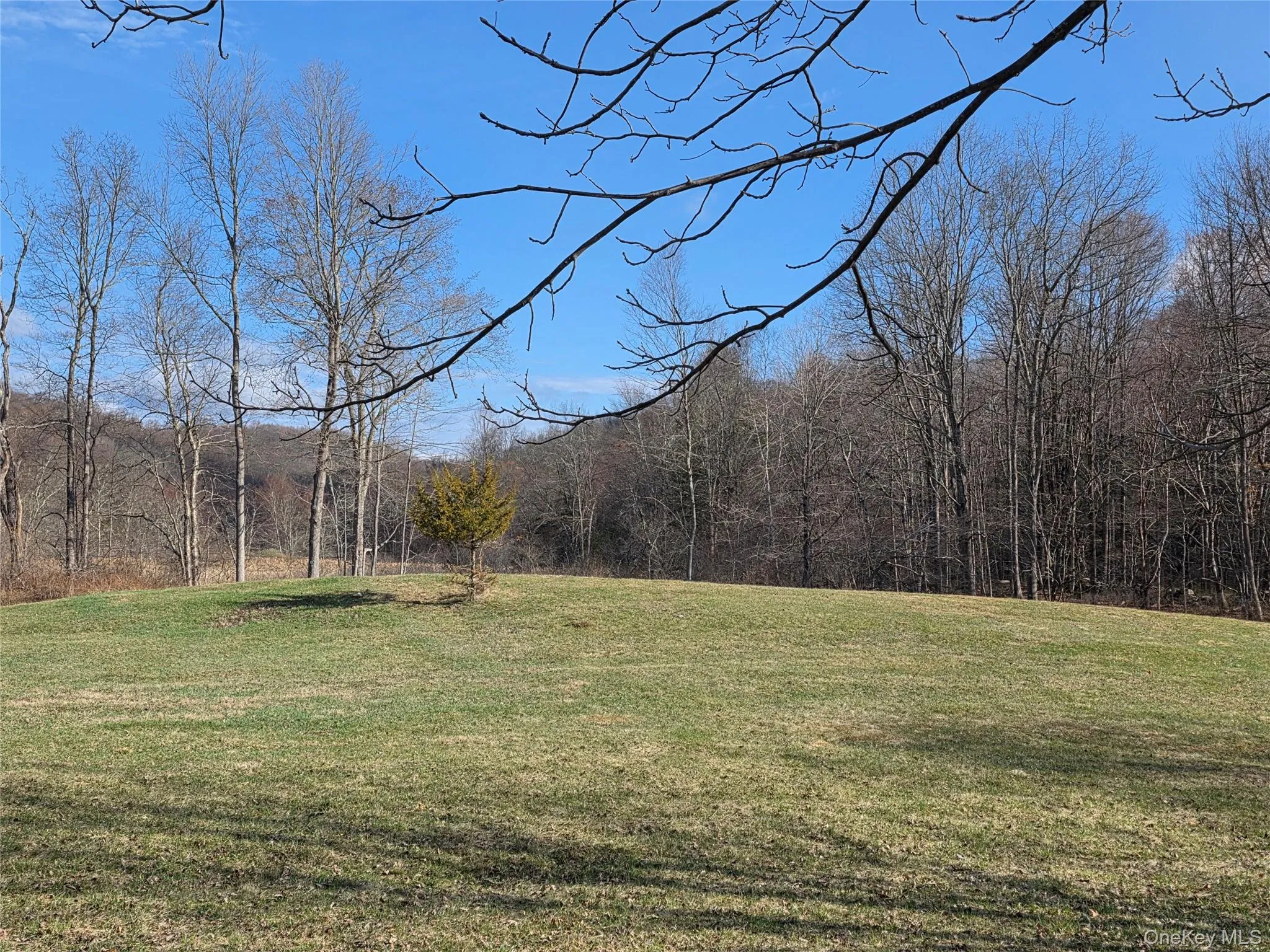 8 Taber Lot 1 Road, Sherman, CT, 2 Bedrooms Bedrooms, 5 Rooms Rooms,2 BathroomsBathrooms,Residential,For Rent,Taber Lot 1,0,987486 8 Taber Lot 1 Road, Sherman, CT, 2 Bedrooms Bedrooms, 5 Rooms Rooms,2 BathroomsBathrooms,Residential,For Rent,Taber Lot 1,0,987486