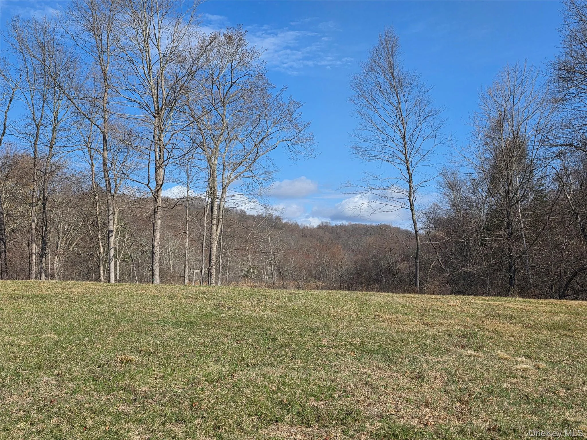 8 Taber Lot 1 Road, Sherman, CT, 2 Bedrooms Bedrooms, 5 Rooms Rooms,2 BathroomsBathrooms,Residential,For Rent,Taber Lot 1,0,987486 8 Taber Lot 1 Road, Sherman, CT, 2 Bedrooms Bedrooms, 5 Rooms Rooms,2 BathroomsBathrooms,Residential,For Rent,Taber Lot 1,0,987486
