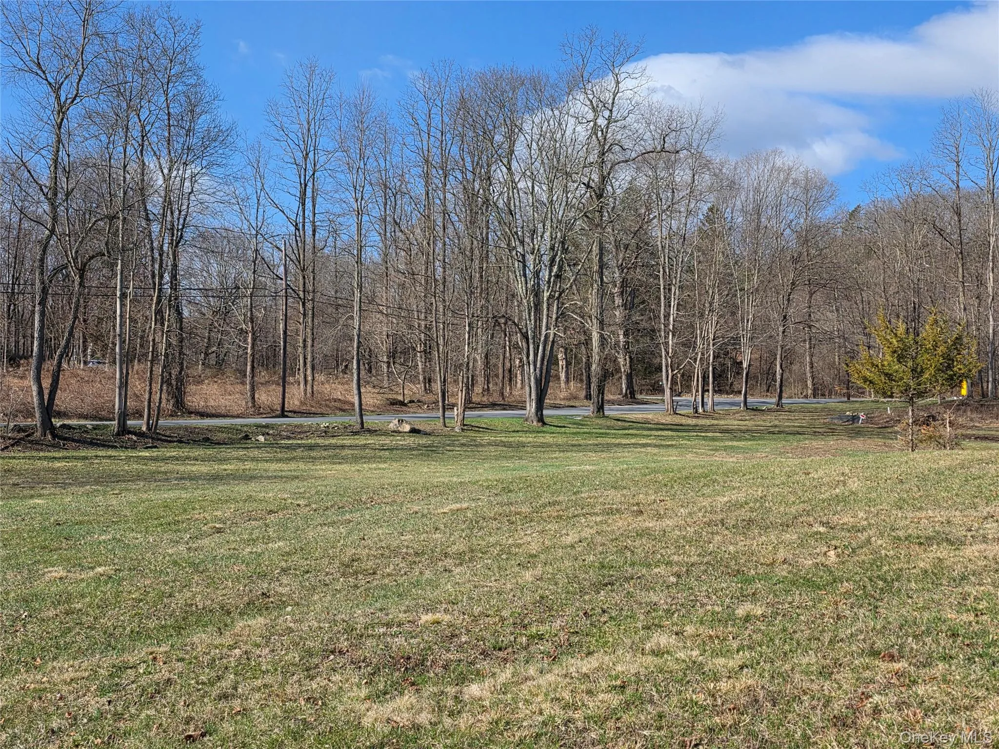 8 Taber Lot 1 Road, Sherman, CT, 2 Bedrooms Bedrooms, 5 Rooms Rooms,2 BathroomsBathrooms,Residential,For Rent,Taber Lot 1,0,987486 8 Taber Lot 1 Road, Sherman, CT, 2 Bedrooms Bedrooms, 5 Rooms Rooms,2 BathroomsBathrooms,Residential,For Rent,Taber Lot 1,0,987486