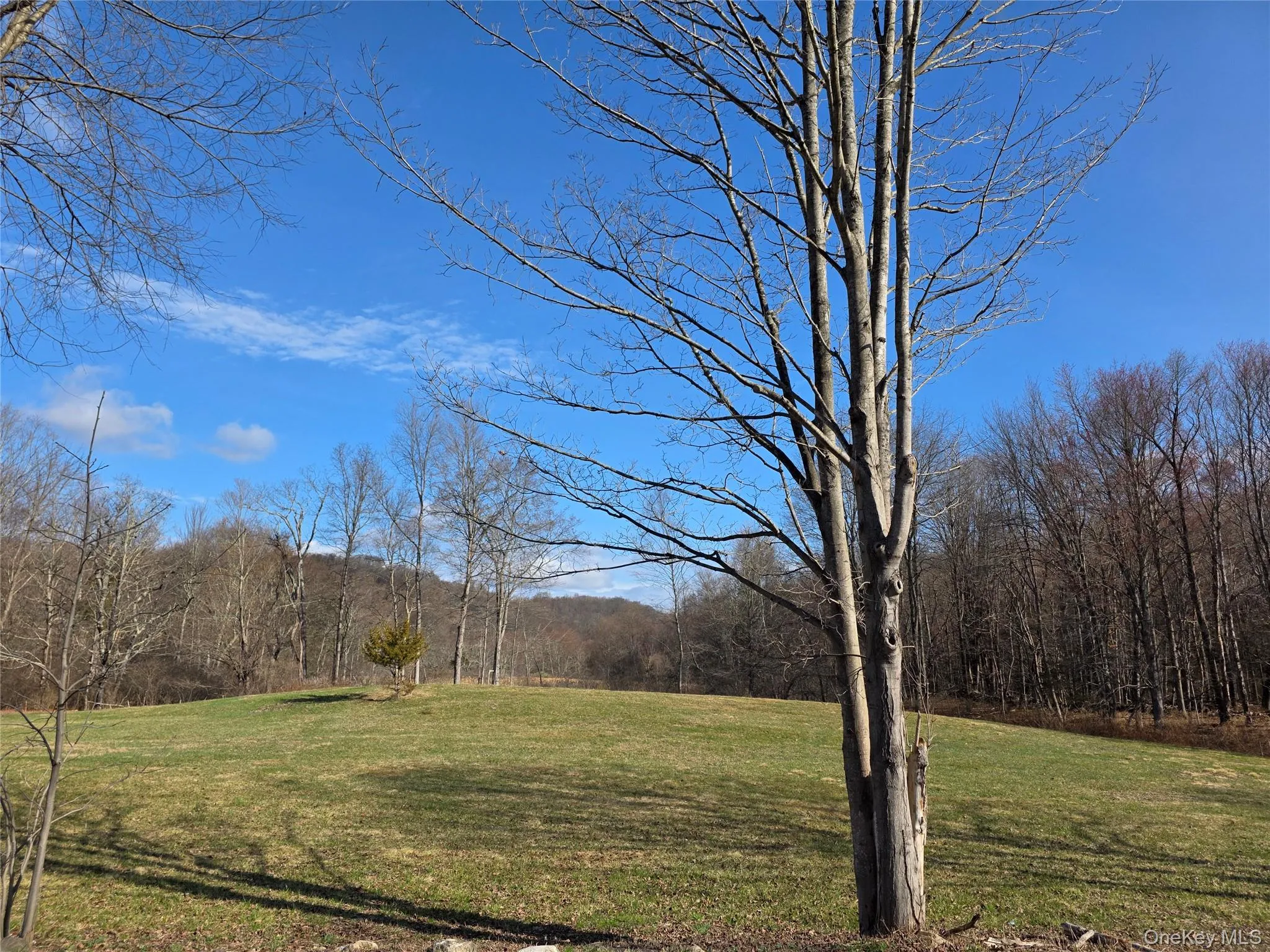 8 Taber Lot 1 Road, Sherman, CT, 2 Bedrooms Bedrooms, 5 Rooms Rooms,2 BathroomsBathrooms,Residential,For Rent,Taber Lot 1,0,987486 8 Taber Lot 1 Road, Sherman, CT, 2 Bedrooms Bedrooms, 5 Rooms Rooms,2 BathroomsBathrooms,Residential,For Rent,Taber Lot 1,0,987486
