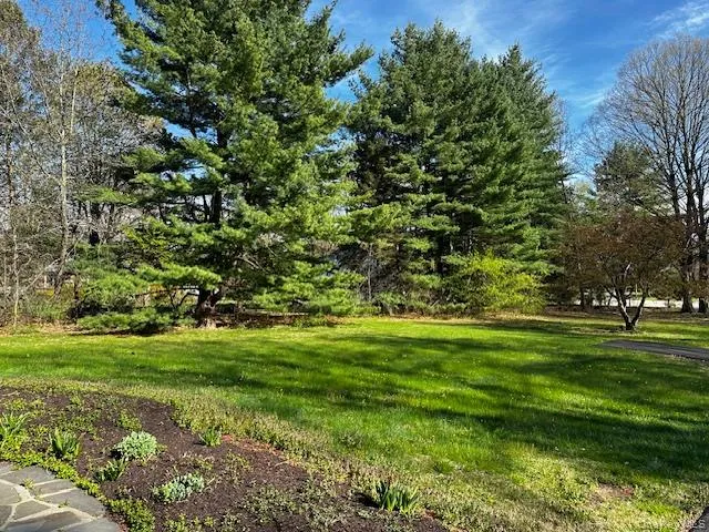 side yard side yard