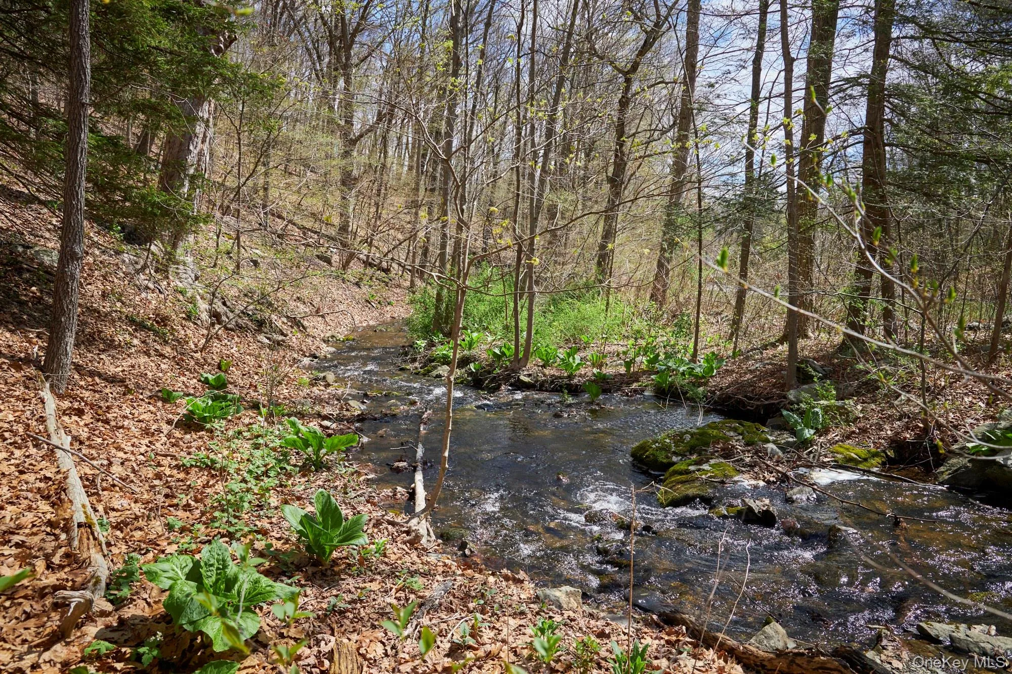 457 Round Lake Road, Rhinebeck, NY, 3 Bedrooms Bedrooms, 10 Rooms Rooms,3 BathroomsBathrooms,Residential,For Rent,Round Lake,0,987569 457 Round Lake Road, Rhinebeck, NY, 3 Bedrooms Bedrooms, 10 Rooms Rooms,3 BathroomsBathrooms,Residential,For Rent,Round Lake,0,987569