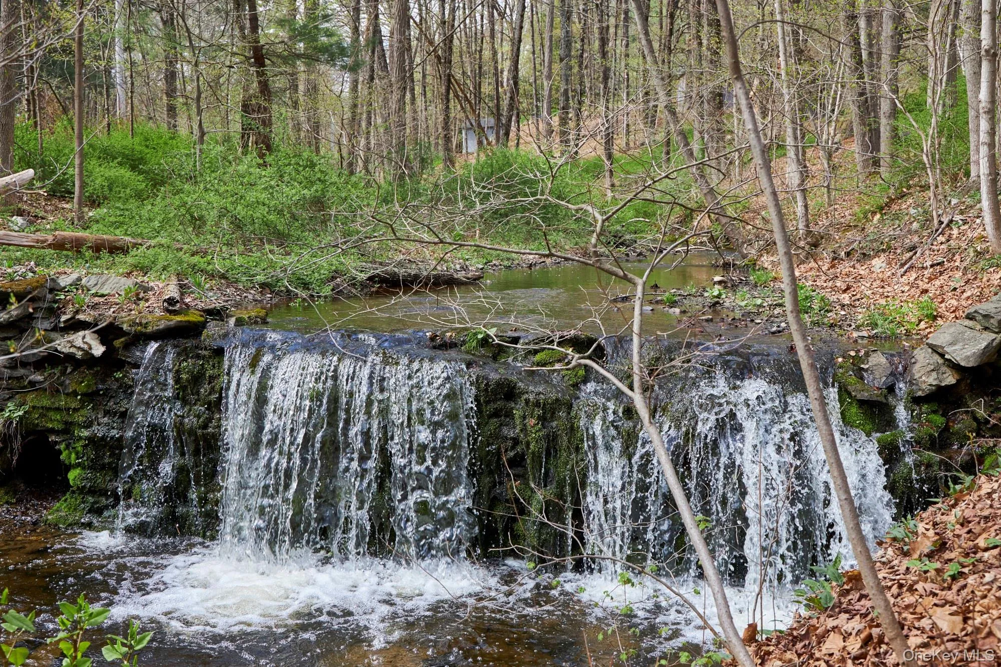 457 Round Lake Road, Rhinebeck, NY, 3 Bedrooms Bedrooms, 10 Rooms Rooms,3 BathroomsBathrooms,Residential,For Rent,Round Lake,0,987569 457 Round Lake Road, Rhinebeck, NY, 3 Bedrooms Bedrooms, 10 Rooms Rooms,3 BathroomsBathrooms,Residential,For Rent,Round Lake,0,987569