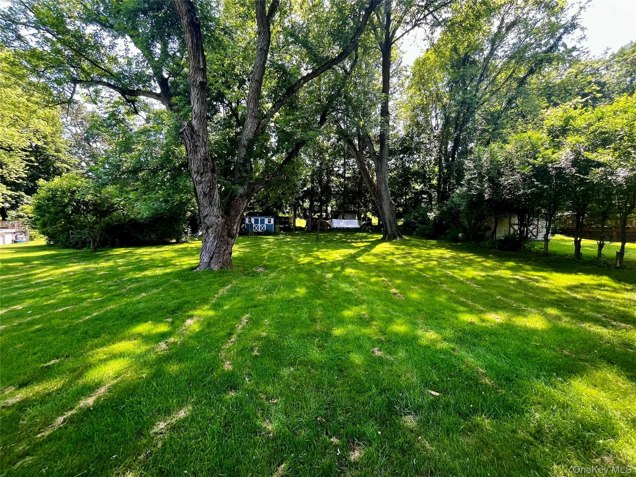 31 Oakland Avenue, Woodbury, NY, 3 Bedrooms Bedrooms, 9 Rooms Rooms,1 BathroomBathrooms,Residential Lease,For Rent,Oakland,0,987578 31 Oakland Avenue, Woodbury, NY, 3 Bedrooms Bedrooms, 9 Rooms Rooms,1 BathroomBathrooms,Residential Lease,For Rent,Oakland,0,987578