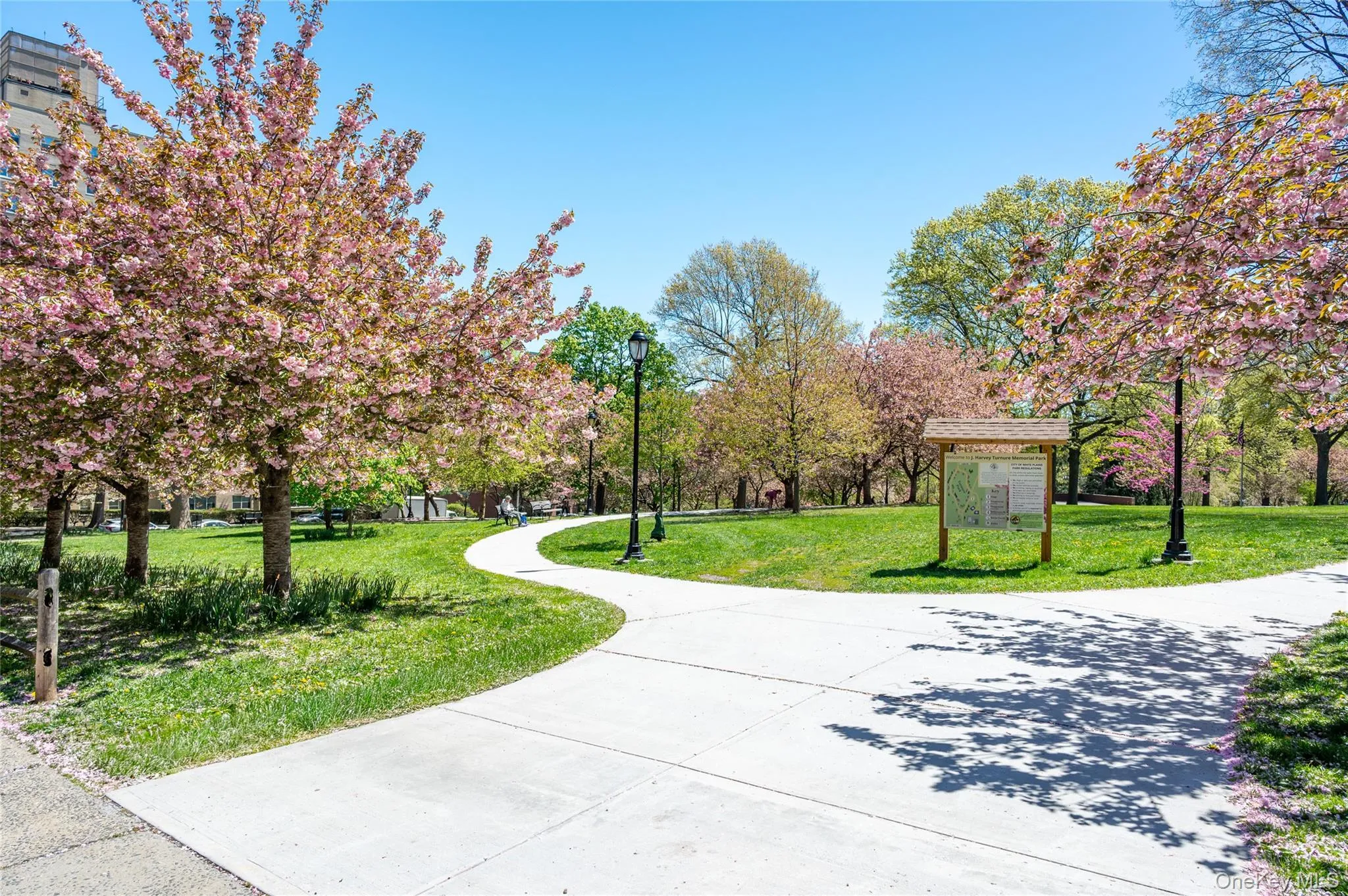 15 Stewart Place, White Plains, NY, 3 Bedrooms Bedrooms, 5 Rooms Rooms,2 BathroomsBathrooms,Residential Sale,For Rent,Stewart,0,987588 15 Stewart Place, White Plains, NY, 3 Bedrooms Bedrooms, 5 Rooms Rooms,2 BathroomsBathrooms,Residential Sale,For Rent,Stewart,0,987588
