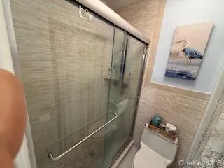 Master bath shower Master bath shower