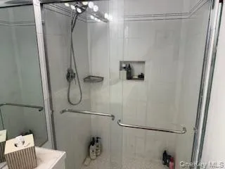 Guest bath shower Guest bath shower