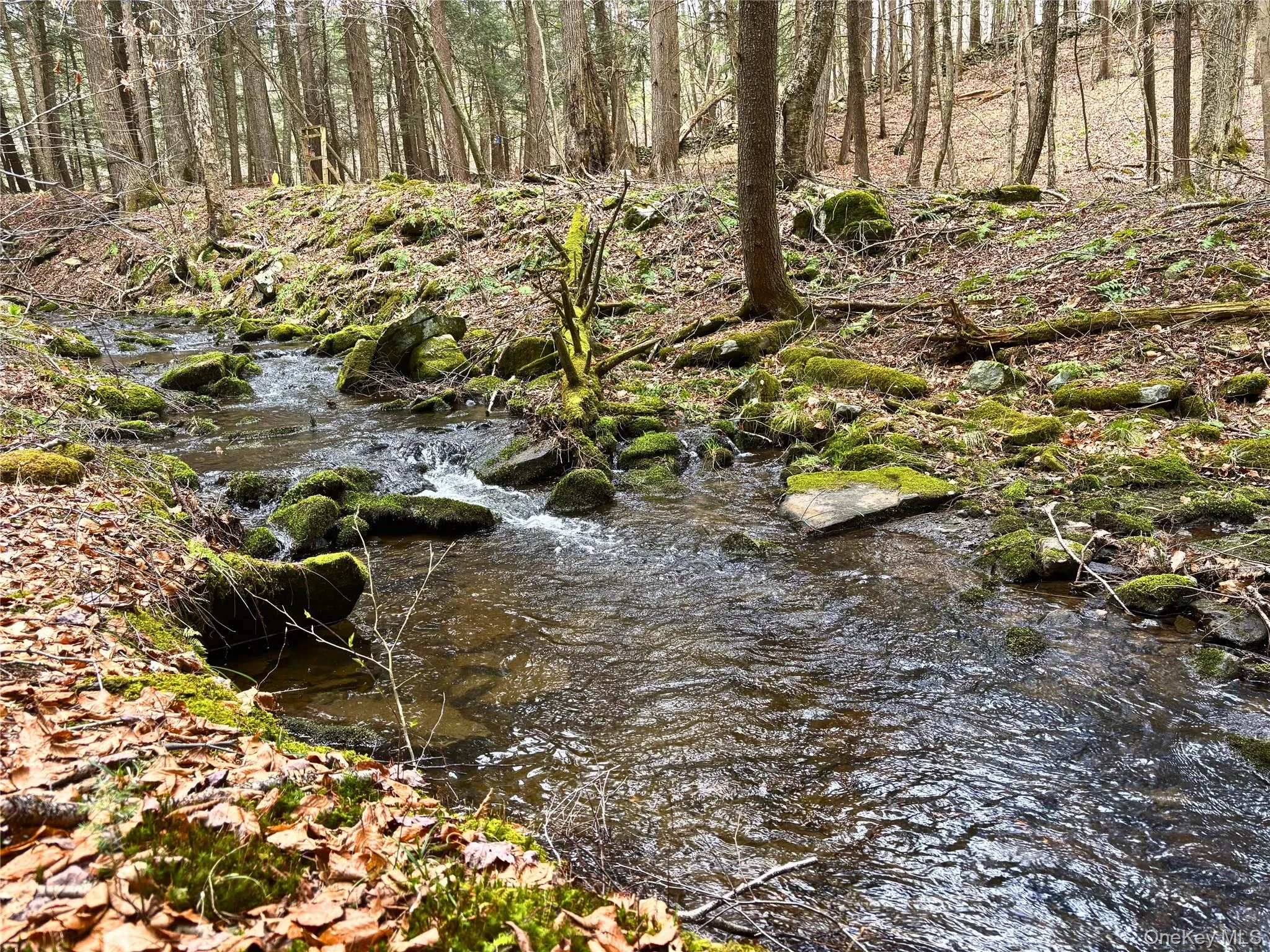 Lot 6.15 Little Beaver Creek Lane, Out Of Area, NY, ,Land,For Rent,Little Beaver Creek,0,987668 Lot 6.15 Little Beaver Creek Lane, Out Of Area, NY, ,Land,For Rent,Little Beaver Creek,0,987668
