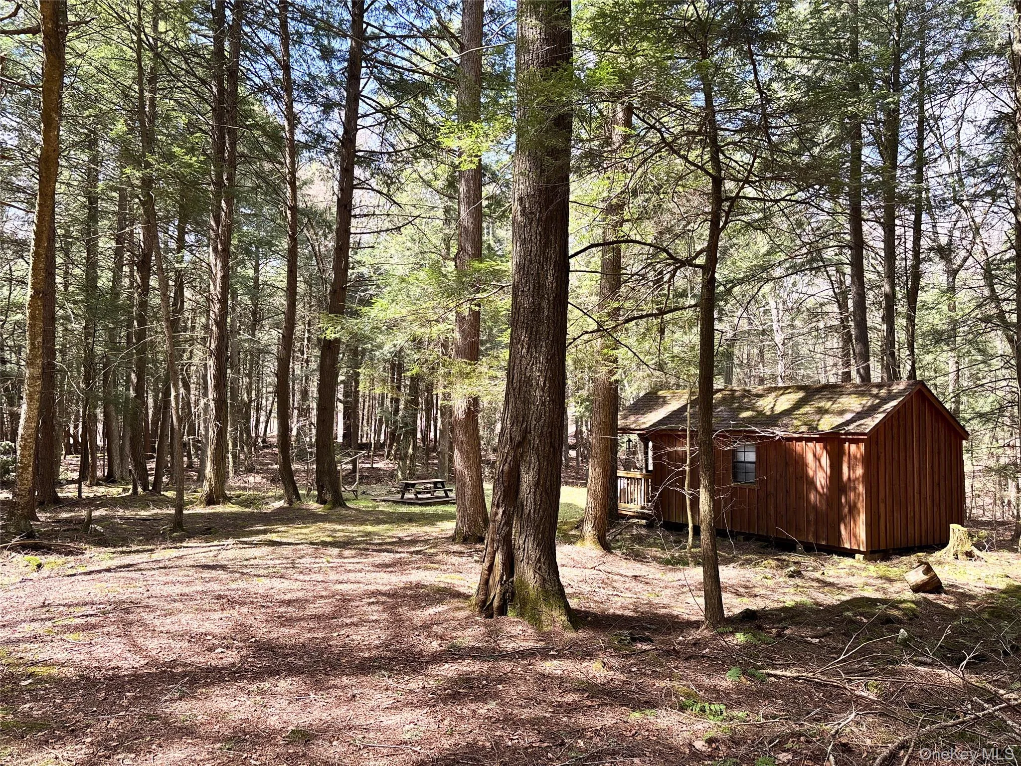 Lot 6.15 Little Beaver Creek Lane, Out Of Area, NY, ,Land,For Rent,Little Beaver Creek,0,987668 Lot 6.15 Little Beaver Creek Lane, Out Of Area, NY, ,Land,For Rent,Little Beaver Creek,0,987668