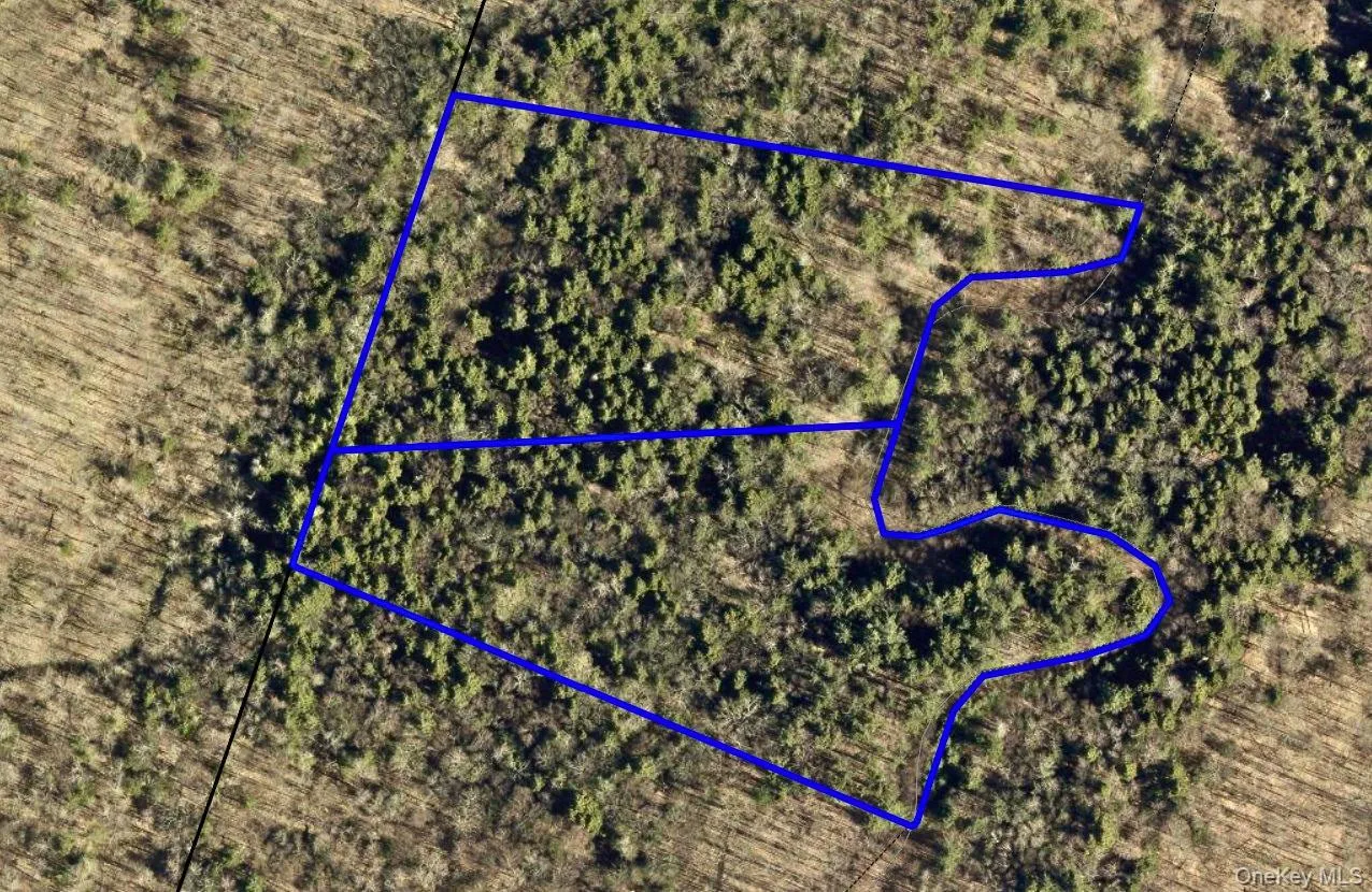 Lot 6.15 Little Beaver Creek Lane, Out Of Area, NY, ,Land,For Rent,Little Beaver Creek,0,987668 Lot 6.15 Little Beaver Creek Lane, Out Of Area, NY, ,Land,For Rent,Little Beaver Creek,0,987668