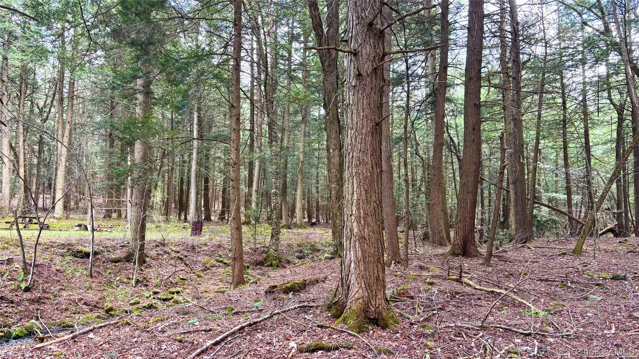 Lot 6.15 Little Beaver Creek Lane, Out Of Area, NY, ,Land,For Rent,Little Beaver Creek,0,987668 Lot 6.15 Little Beaver Creek Lane, Out Of Area, NY, ,Land,For Rent,Little Beaver Creek,0,987668