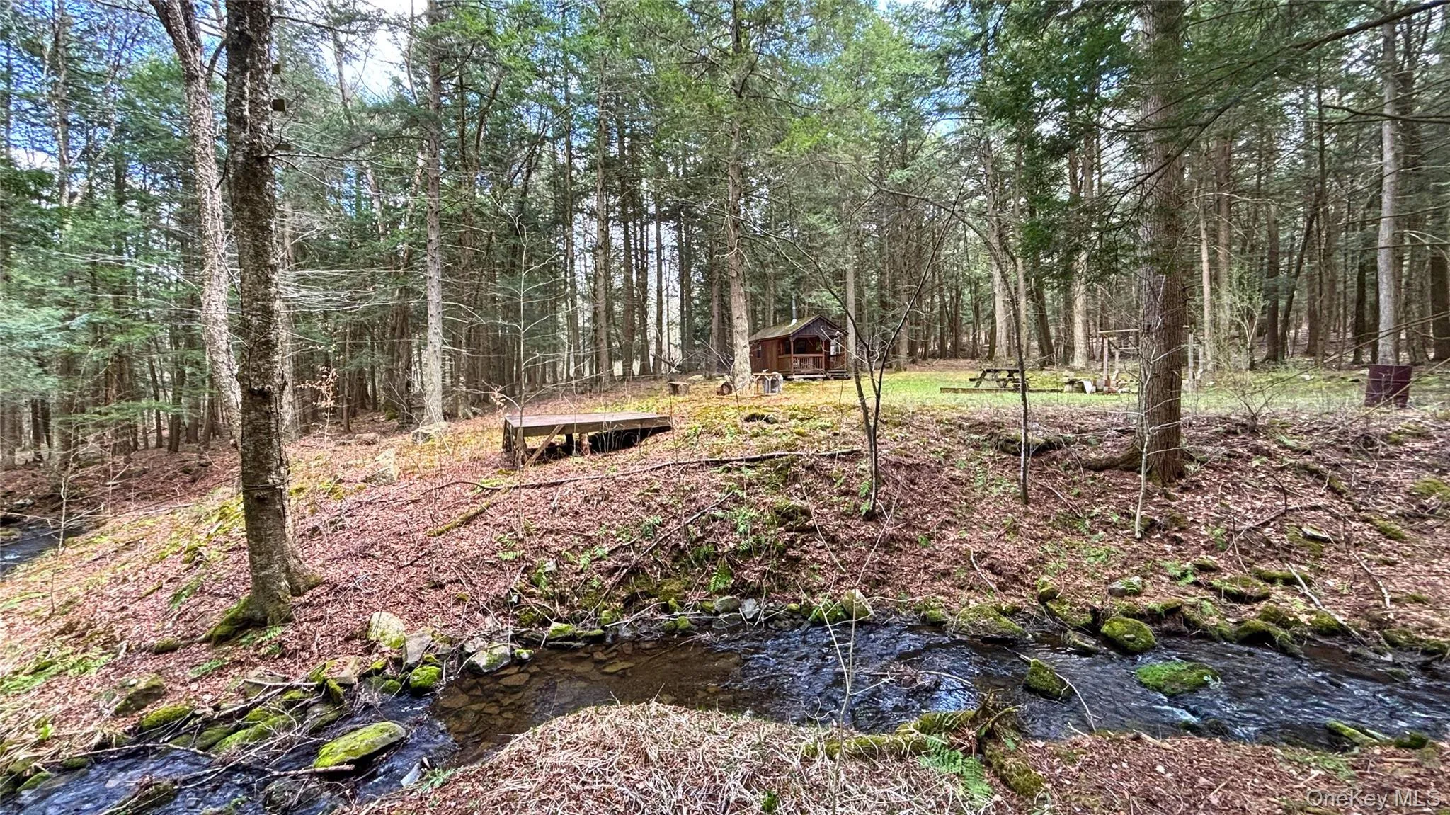 Lot 6.15 Little Beaver Creek Lane, Out Of Area, NY, ,Land,For Rent,Little Beaver Creek,0,987668 Lot 6.15 Little Beaver Creek Lane, Out Of Area, NY, ,Land,For Rent,Little Beaver Creek,0,987668