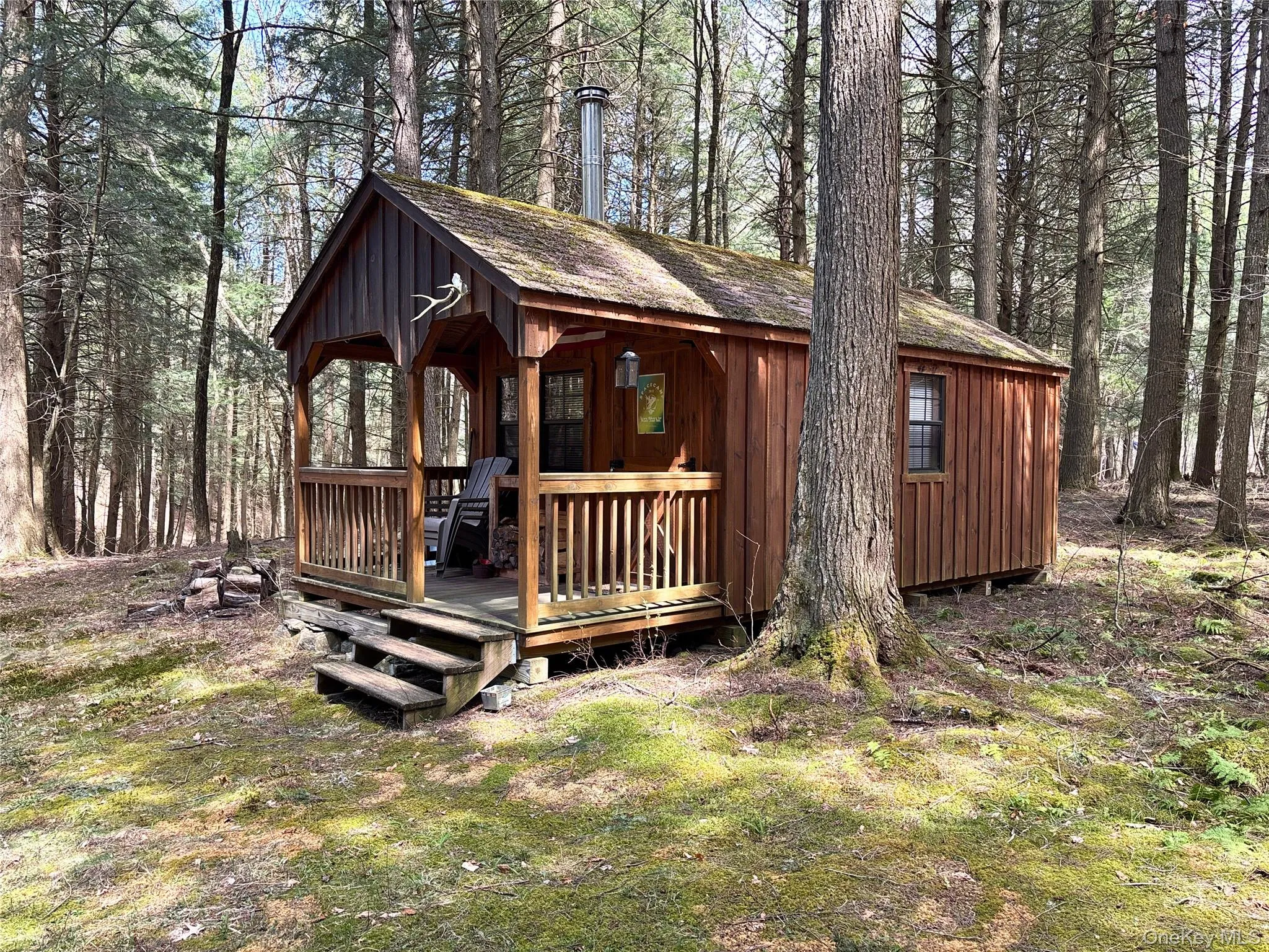 Lot 6.15 Little Beaver Creek Lane, Out Of Area, NY, ,Land,For Rent,Little Beaver Creek,0,987668 Lot 6.15 Little Beaver Creek Lane, Out Of Area, NY, ,Land,For Rent,Little Beaver Creek,0,987668