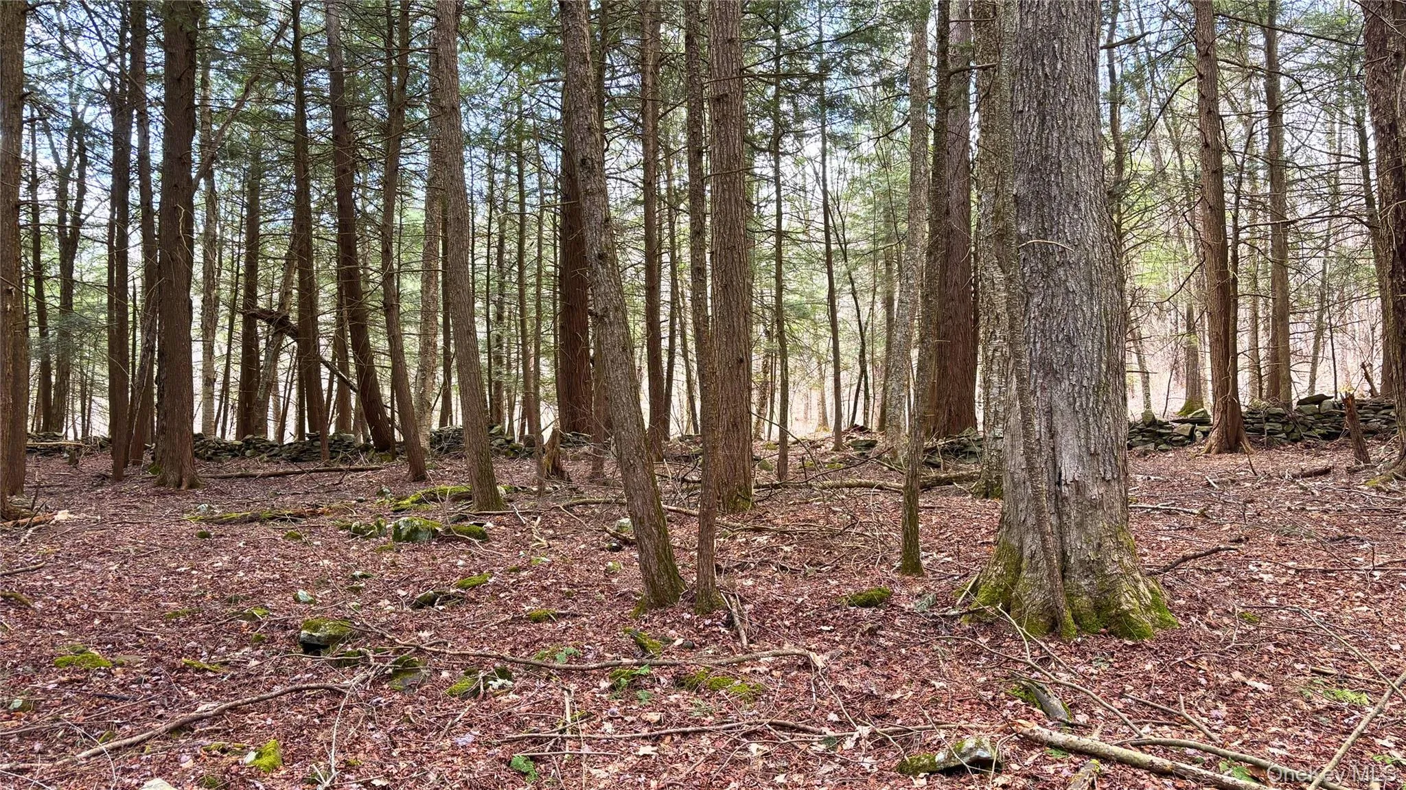 Lot 6.15 Little Beaver Creek Lane, Out Of Area, NY, ,Land,For Rent,Little Beaver Creek,0,987668 Lot 6.15 Little Beaver Creek Lane, Out Of Area, NY, ,Land,For Rent,Little Beaver Creek,0,987668